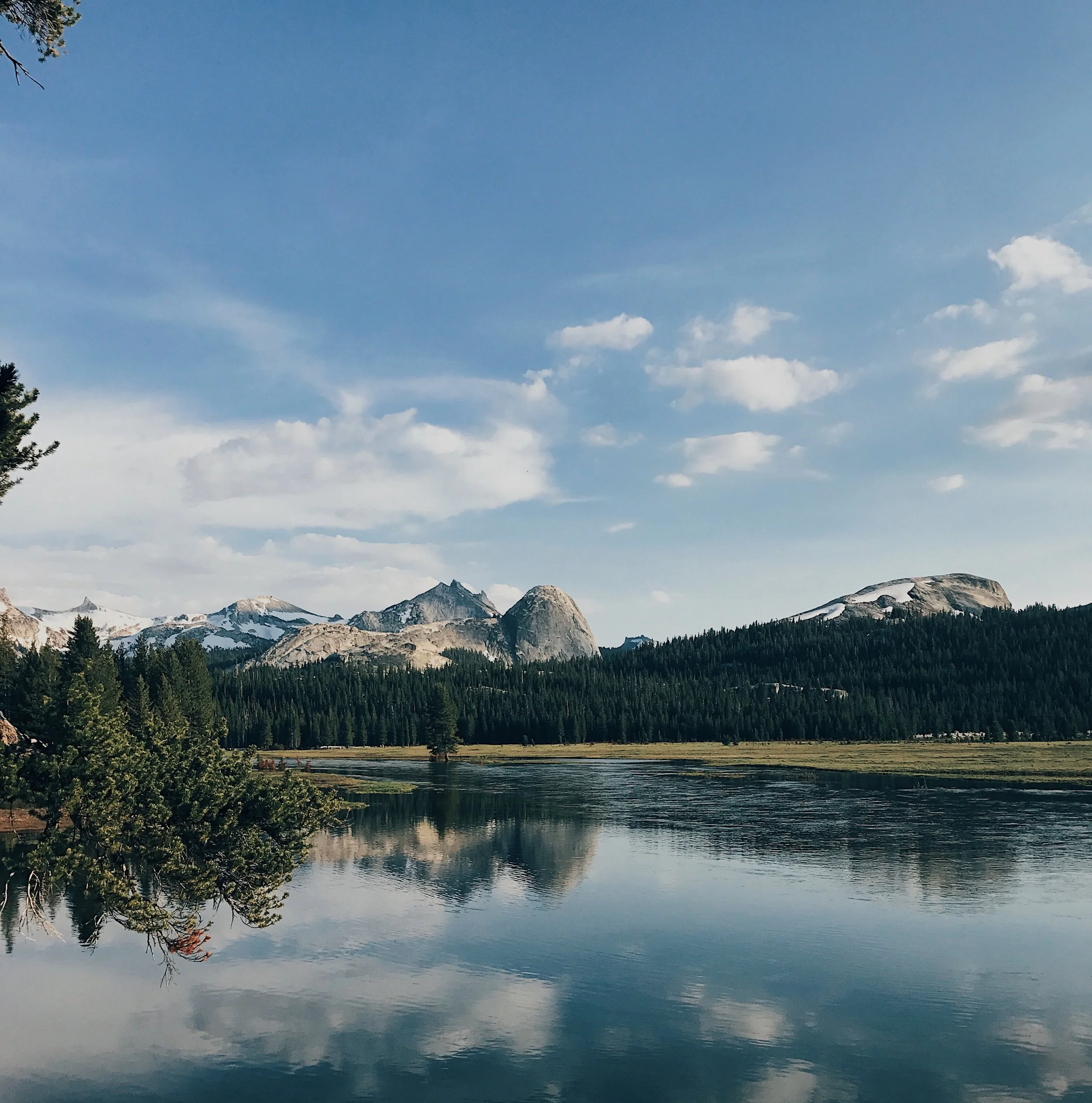 The outskirts of Yosemite Valley