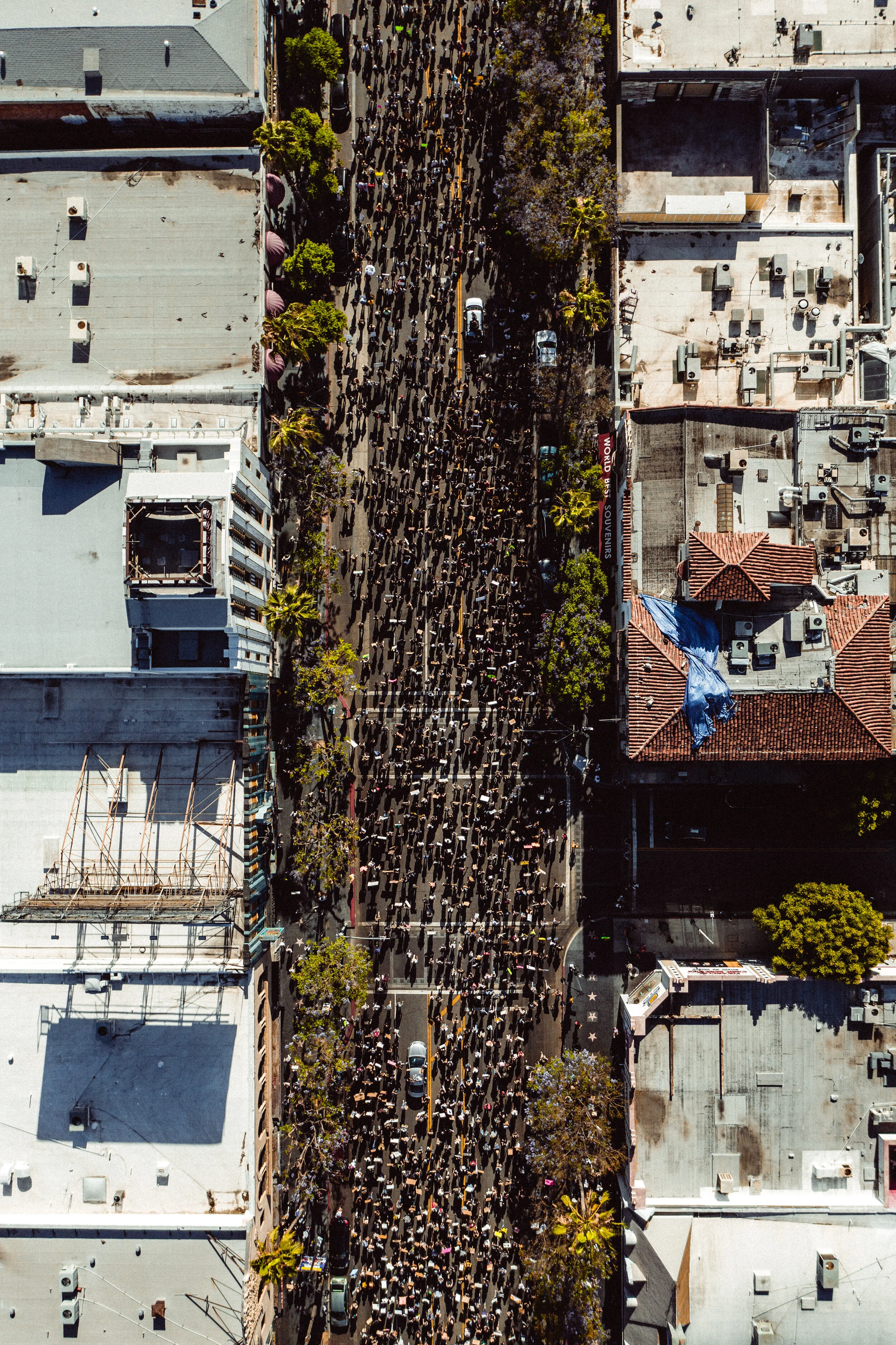 marchers 3-1.jpg