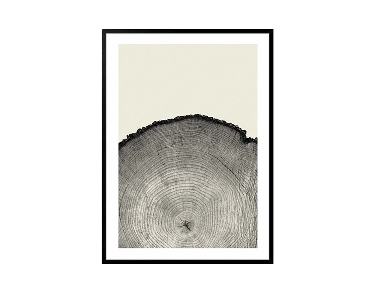 Monochrome – Tree heart (Copy)