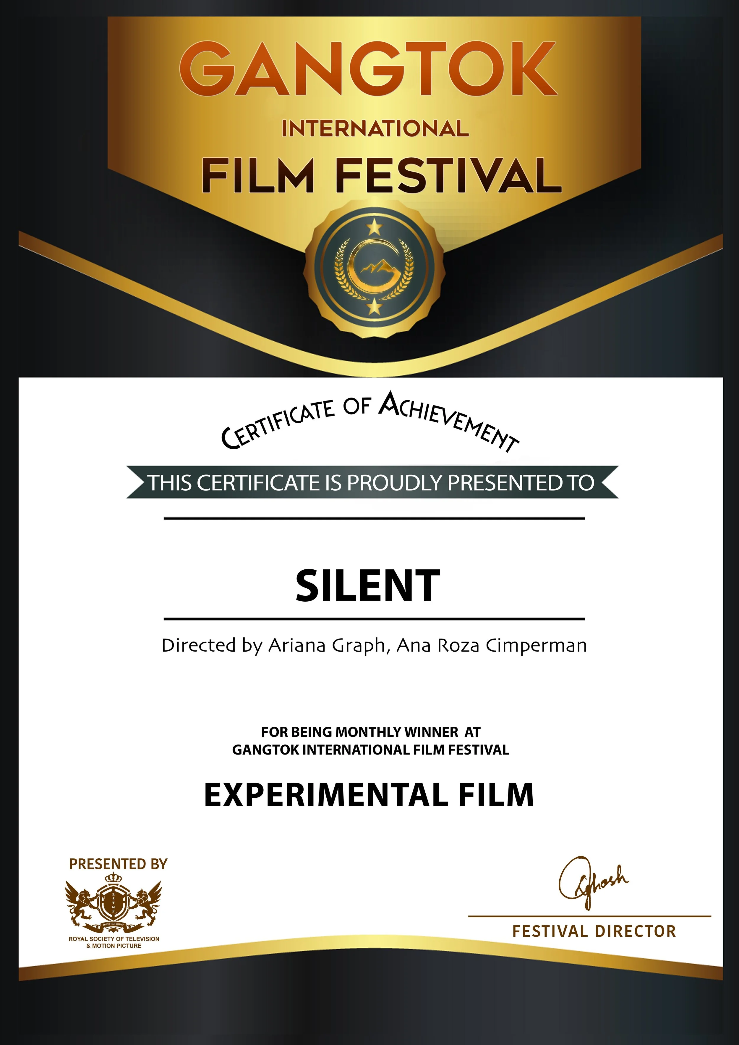 Silent Experimental Film (1).jpeg