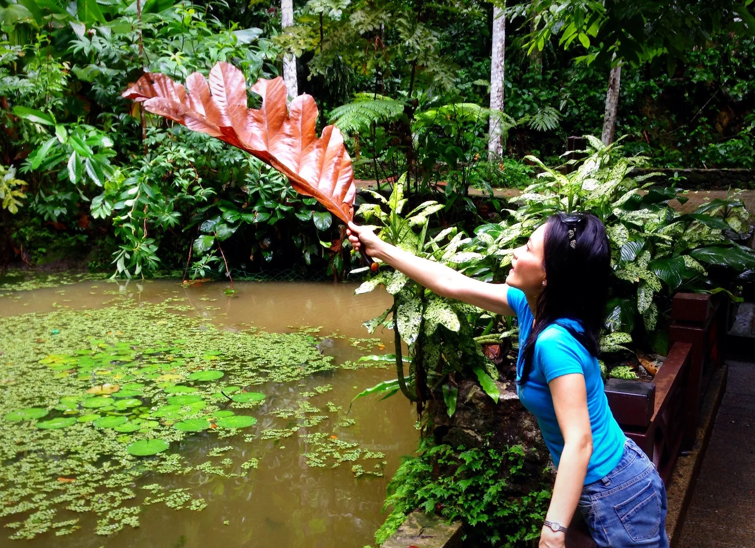 Vaddey on rainforest walk.jpg