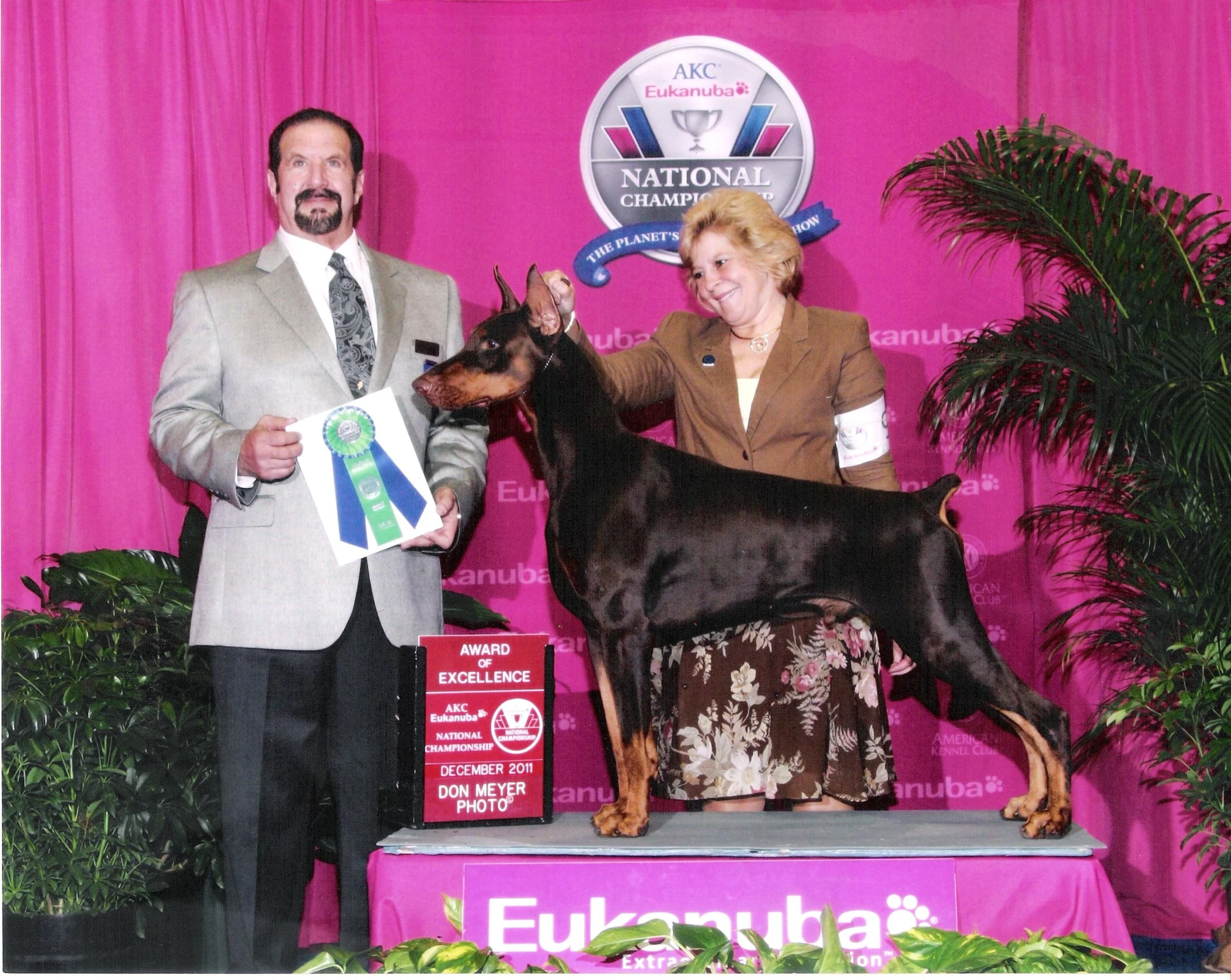 eukanuba doberman
