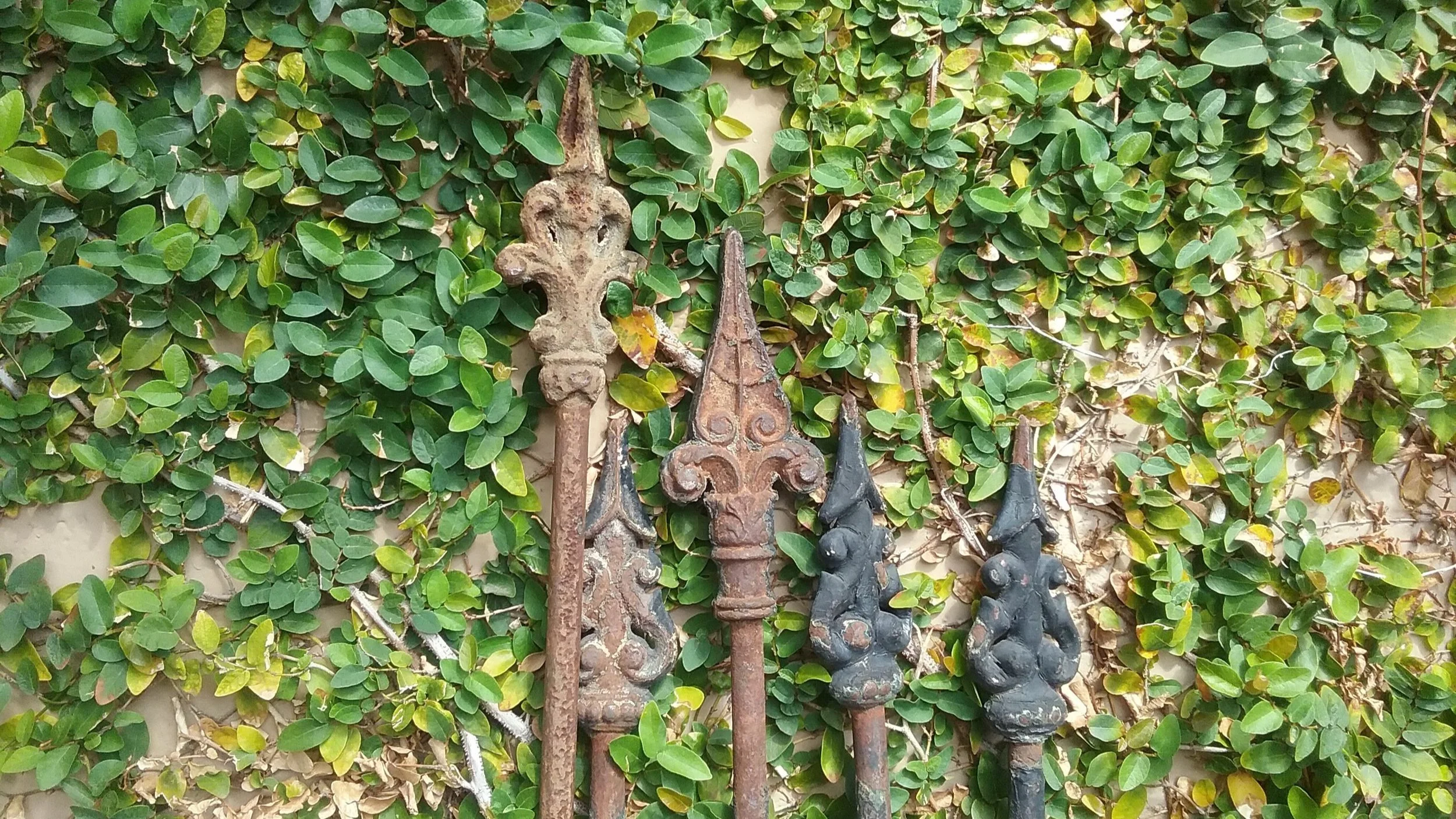 20160827_150625.jpg