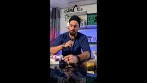 Tiktoxic Hustle "Staff Replacement"