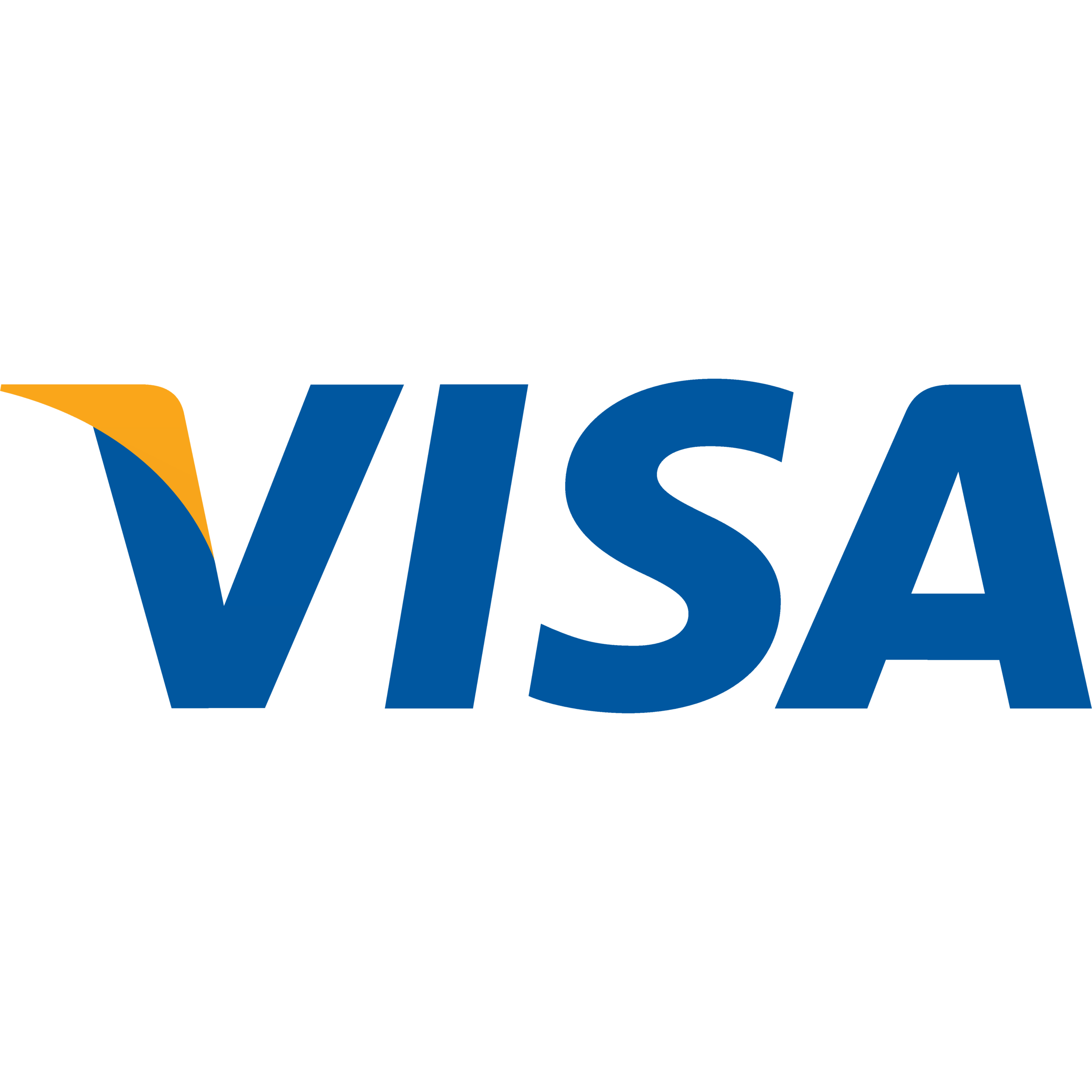 VISA logo