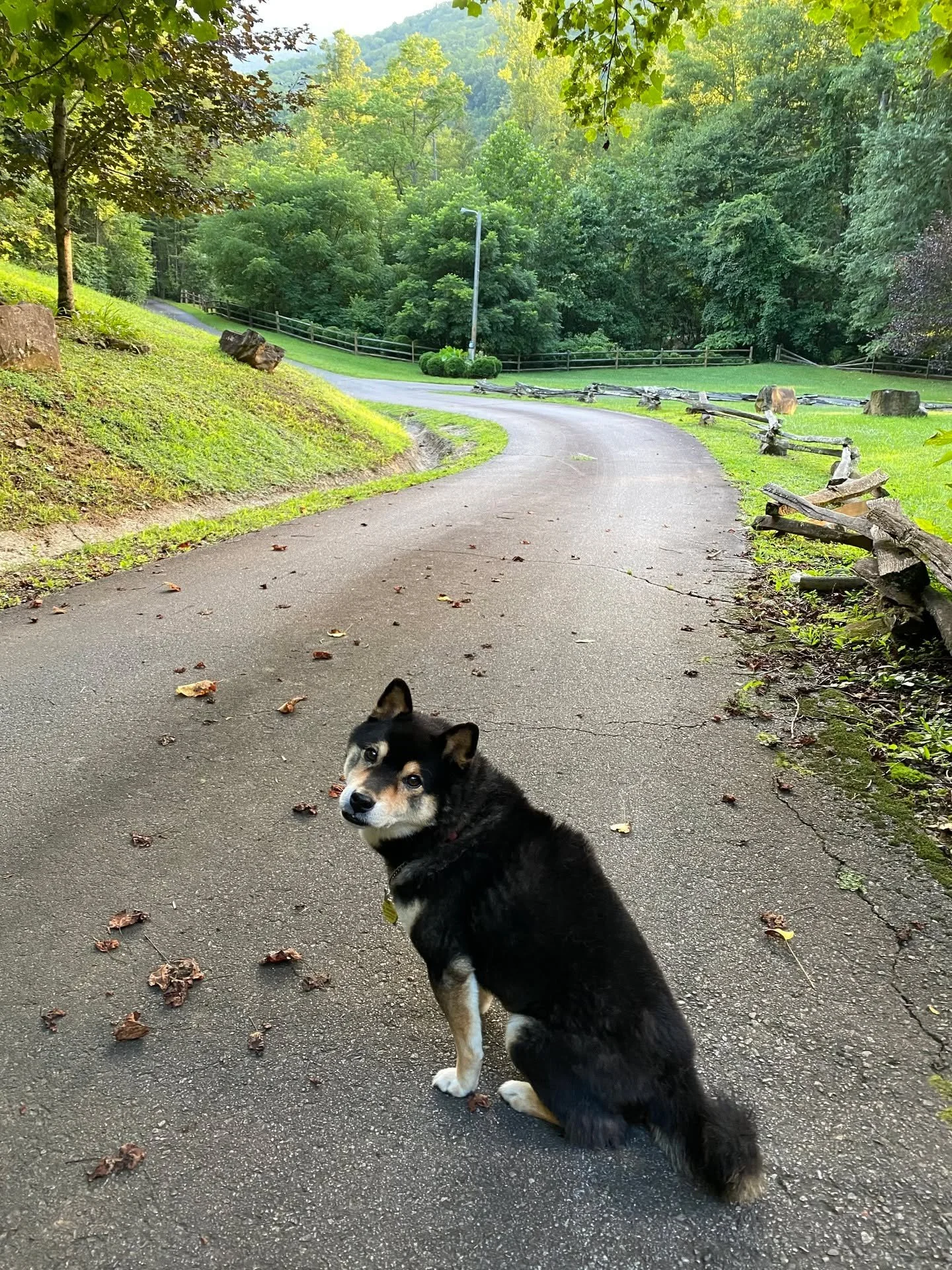 Fourteen years ago today, you came into my life. Five days ago, you left&hellip;

We weren&rsquo;t supposed to be getting a boy dog&hellip; but on the day we met, when Marc saw us running across the field together, he knew I&rsquo;d already fallen in