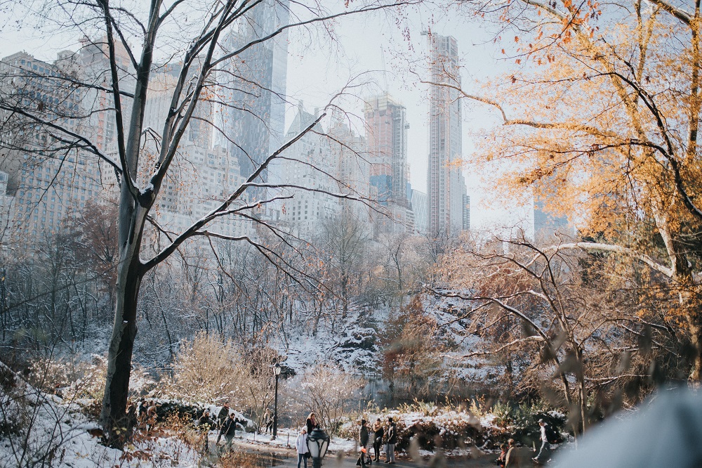 Central Park.jpg