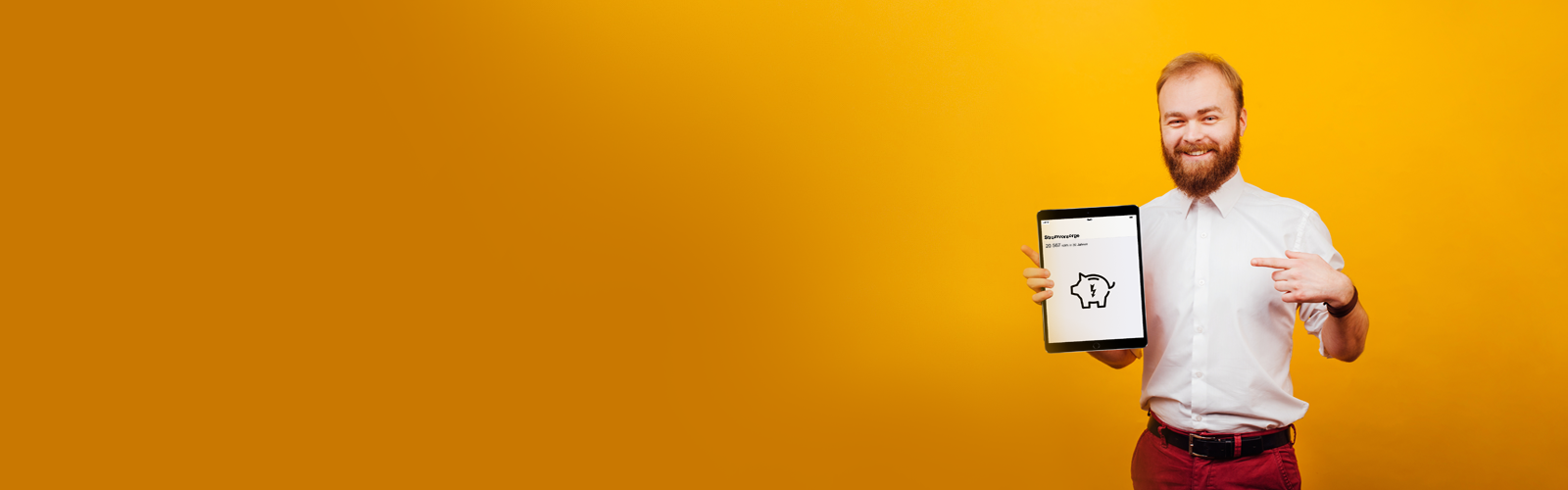 banner_energiesparbuch.png