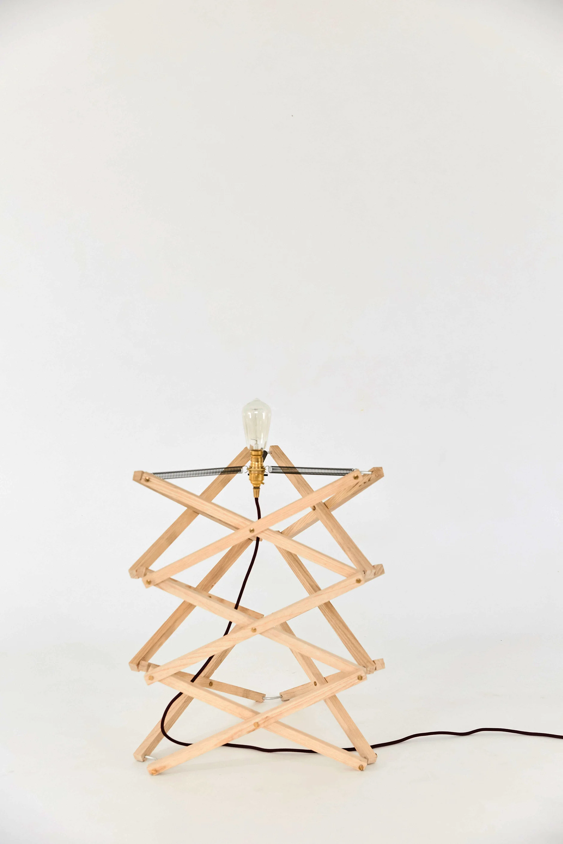 Animaro_72dpi_Animaro Kickstarter Lamp product1470.jpg