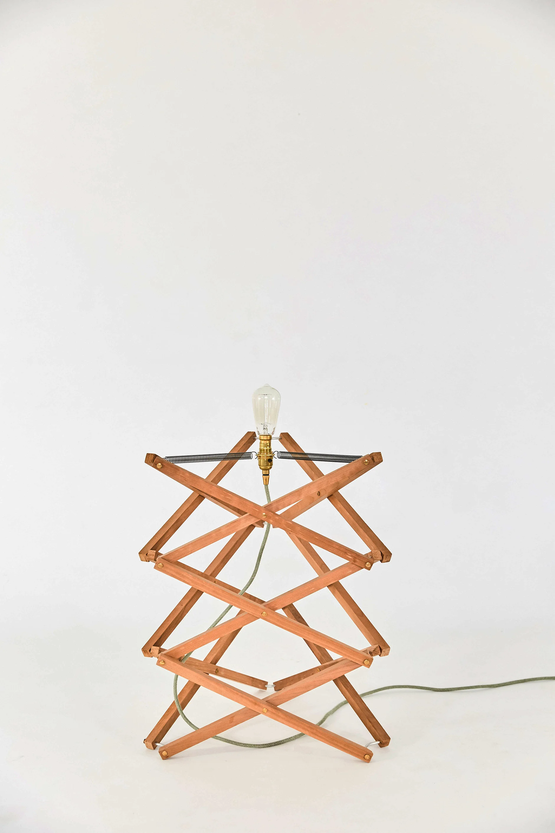 Animaro_72dpi_Animaro Kickstarter Lamp product1481.jpg