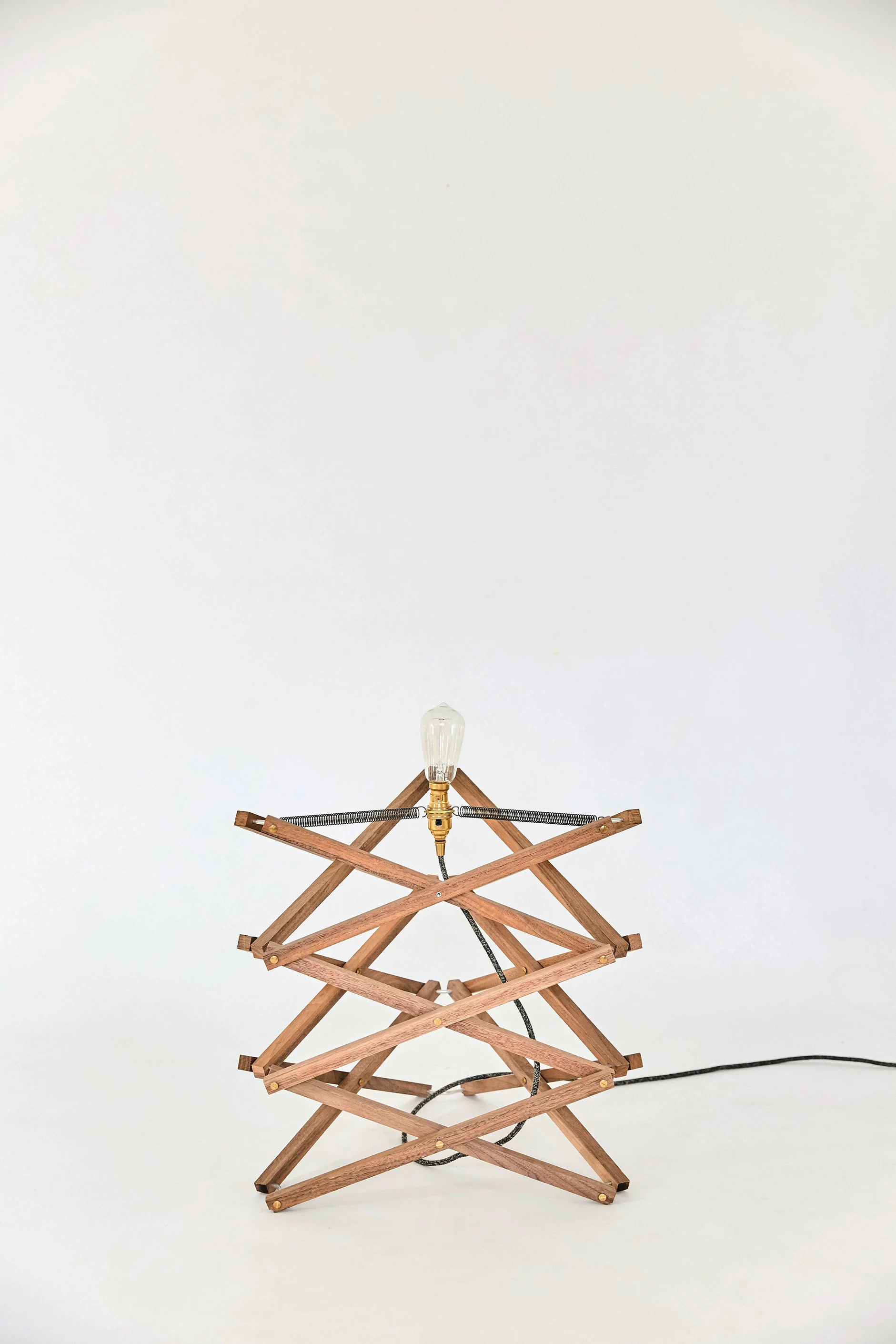 Animaro_72dpi_Animaro Kickstarter Lamp product1493.jpg