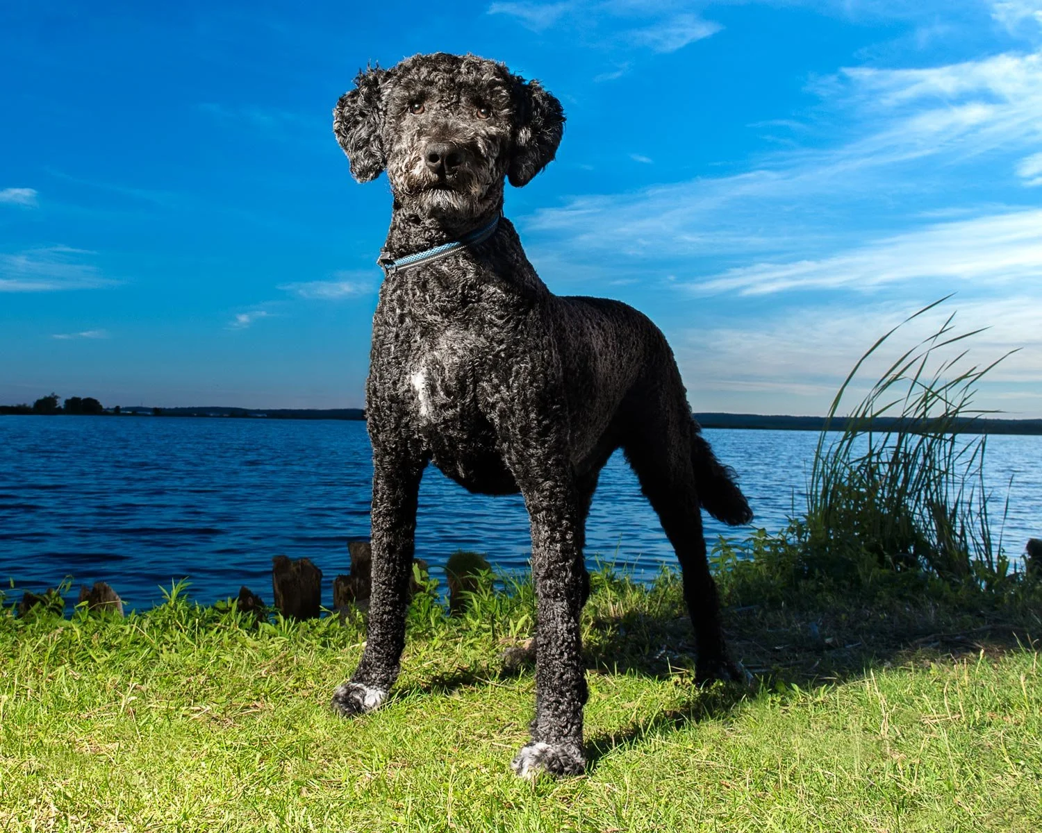 The second time around