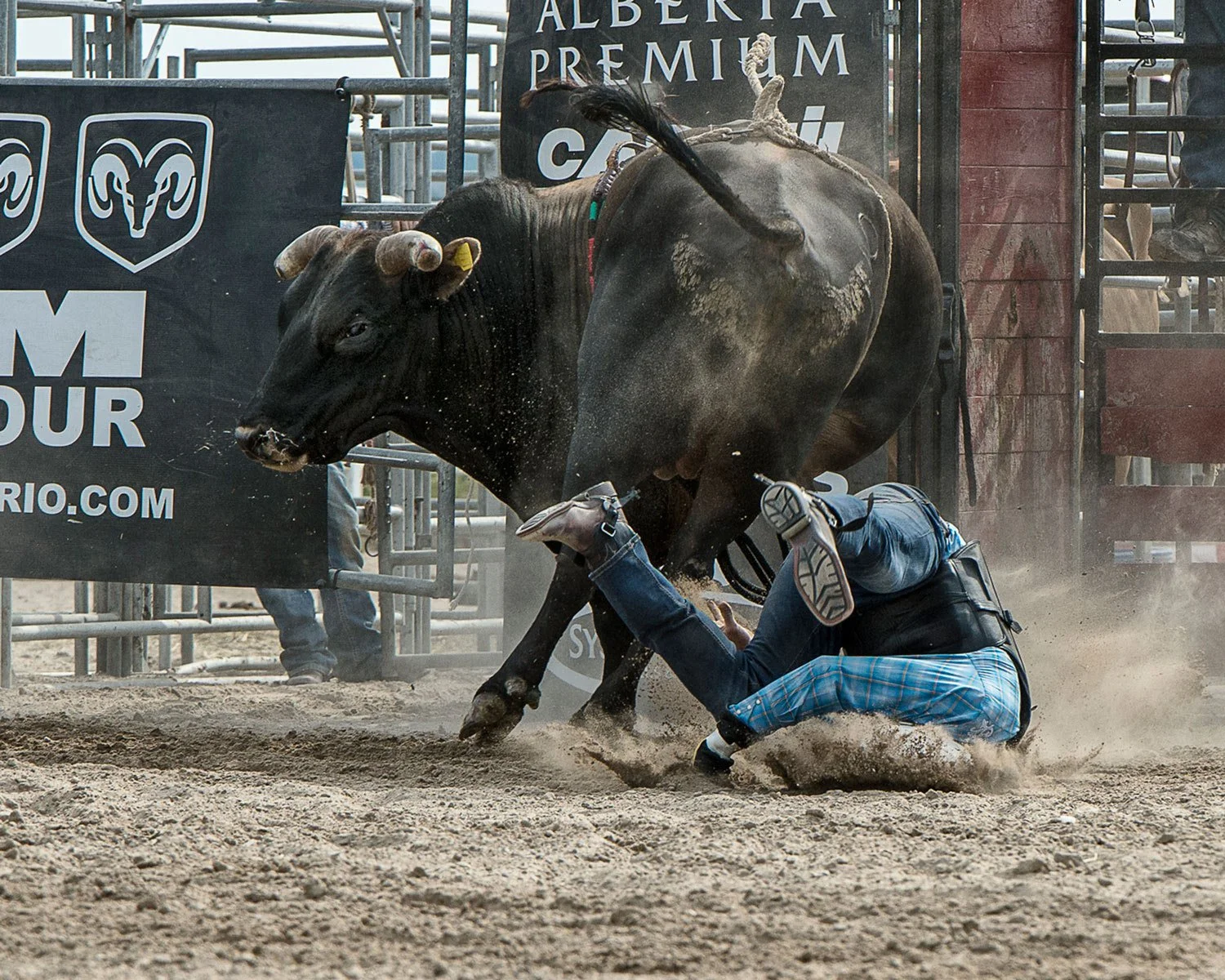 Telling a little about the telephoto