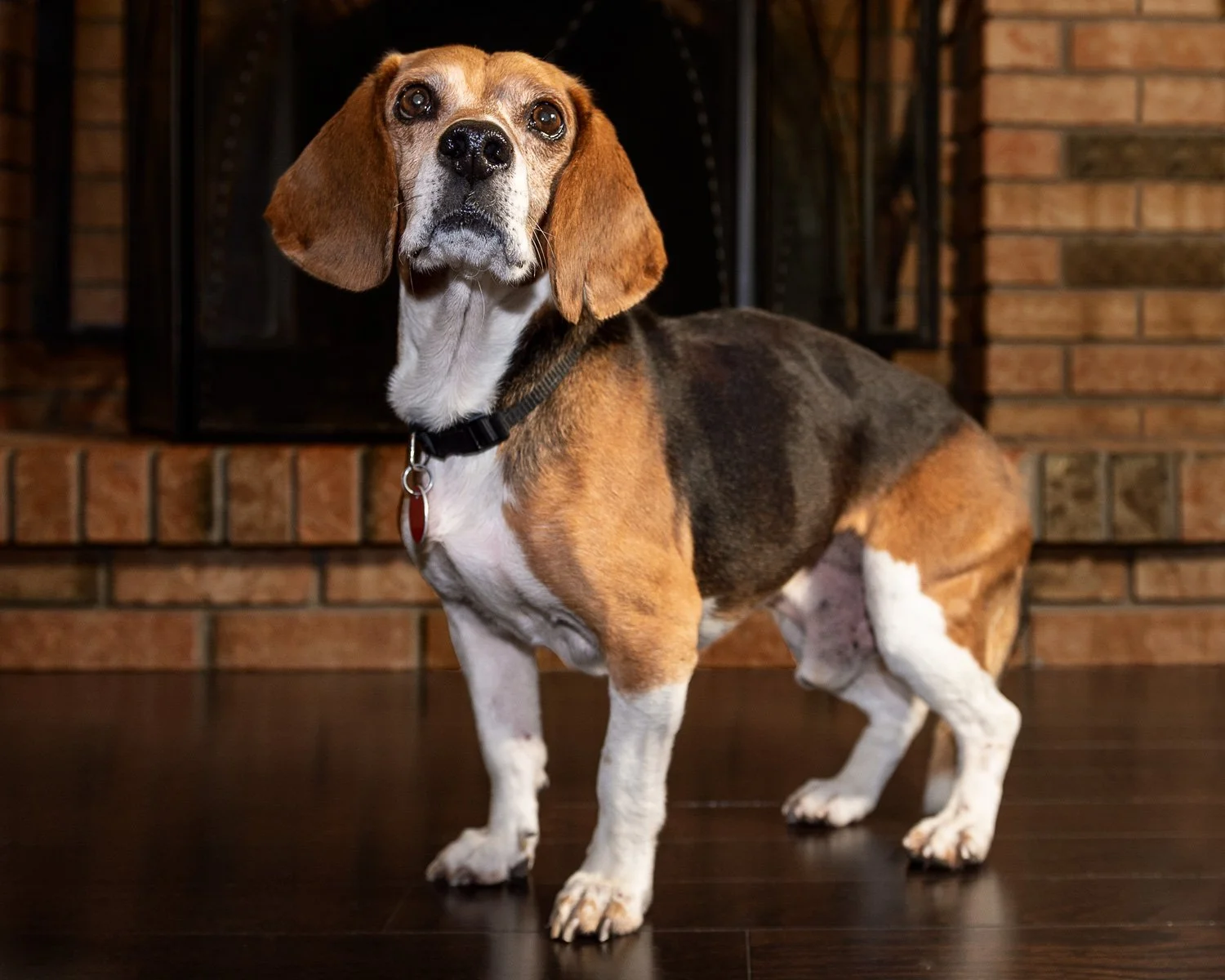 It doesn't always go according to plan