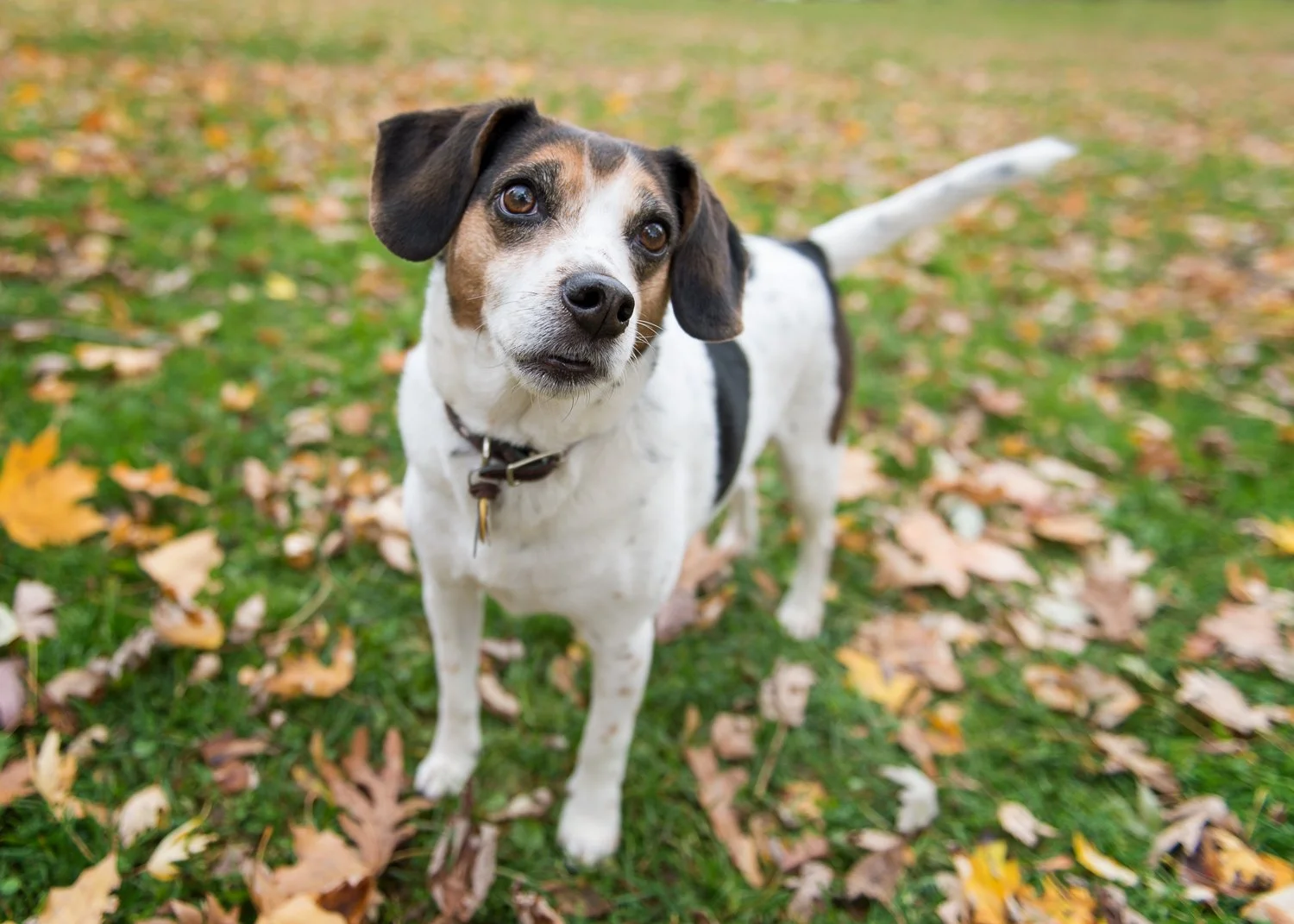 New year, new look, new options