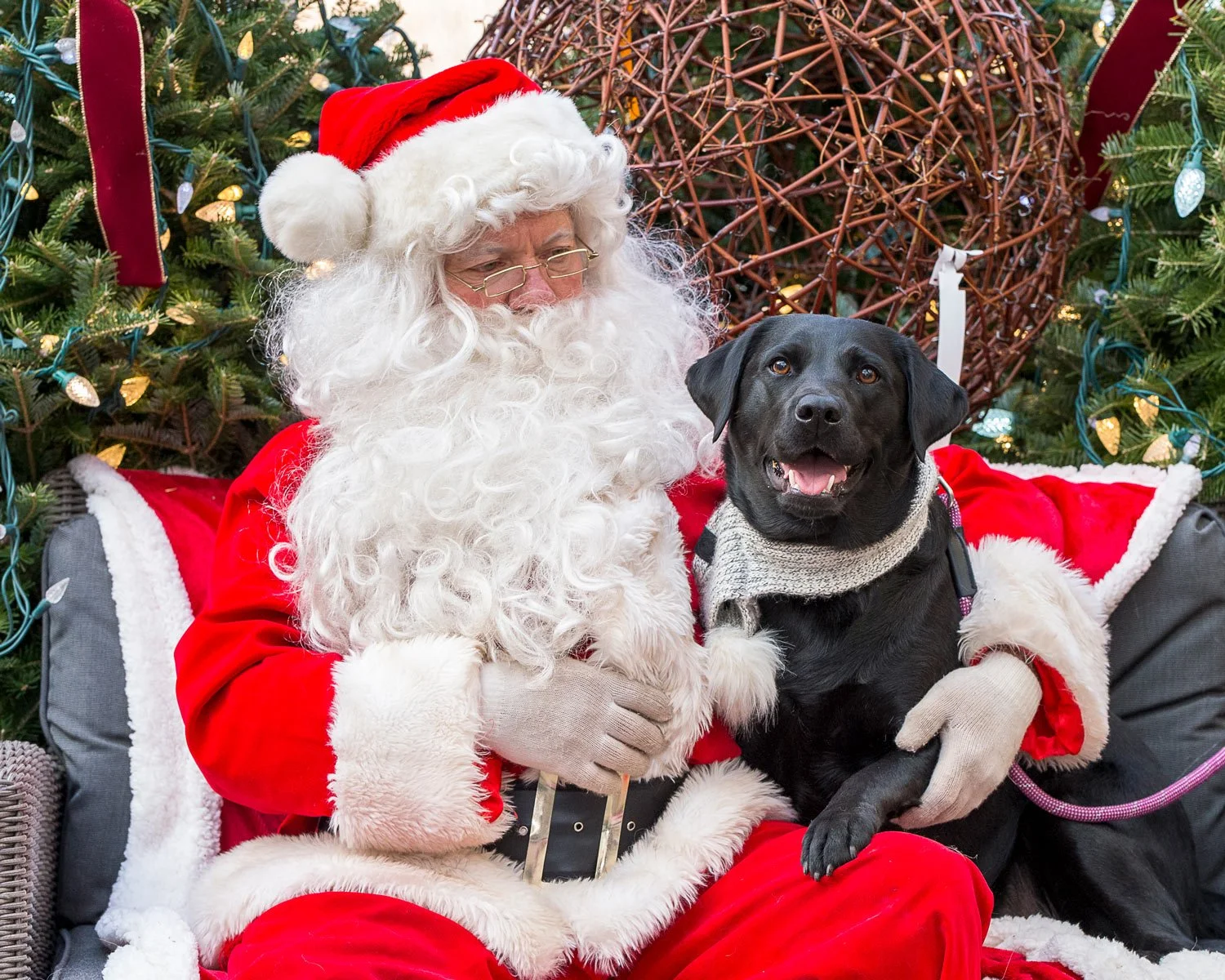 Do they know its Christmas?