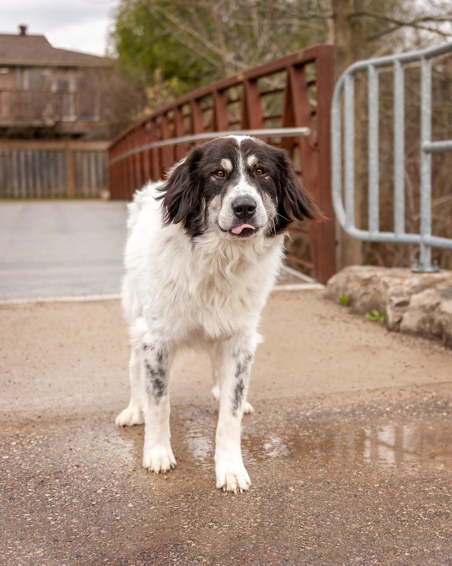 IDP_Sadie_2563_WEB.jpg