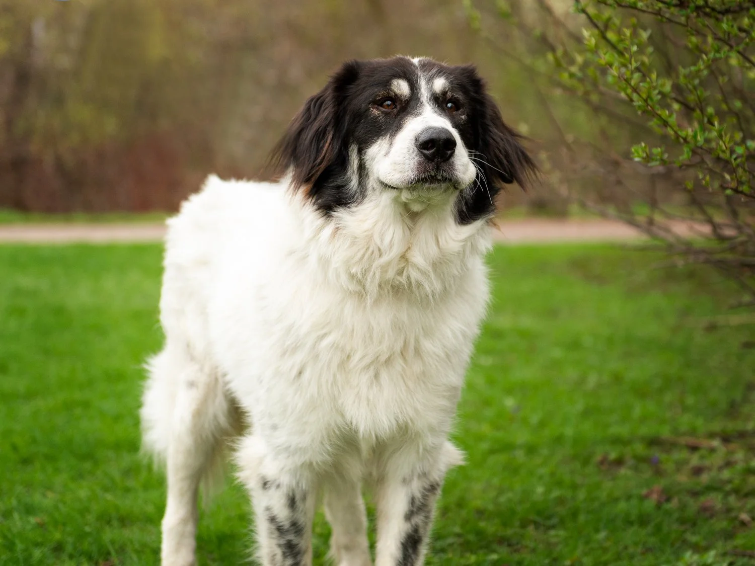 IDP_Sadie_2591_WEB.jpg
