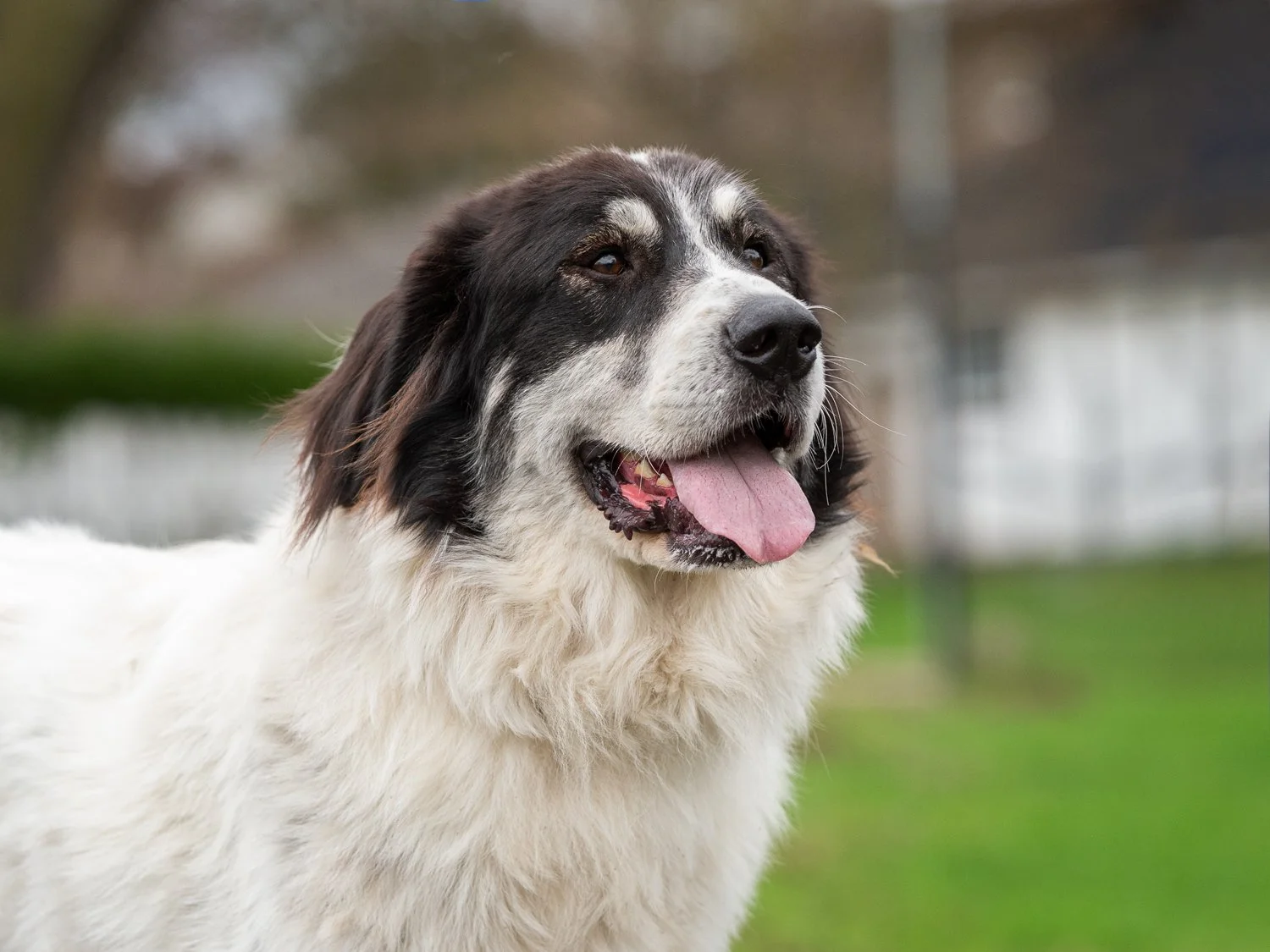 IDP_Sadie_2671_WEB.jpg