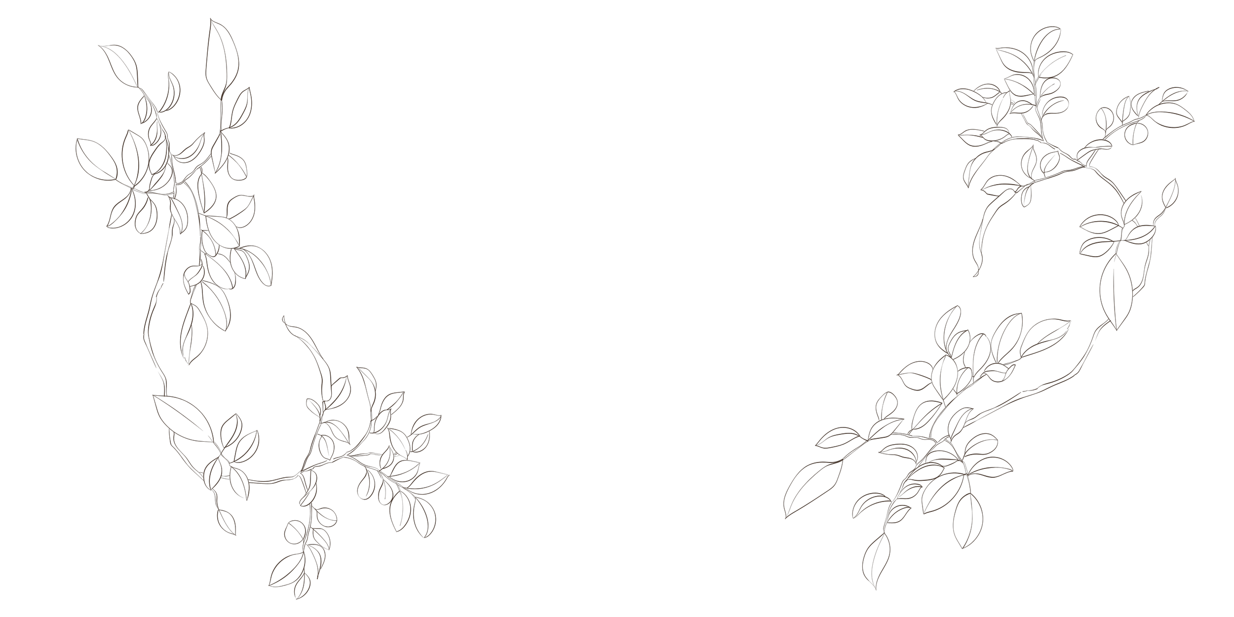 Black background with gold line drawings of leaves on both sides.
