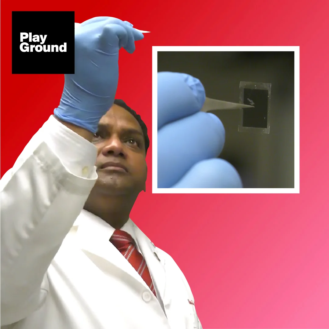 PGV_170808_NEWS_JMG_NANOCHIP ÓRGANOS.jpg