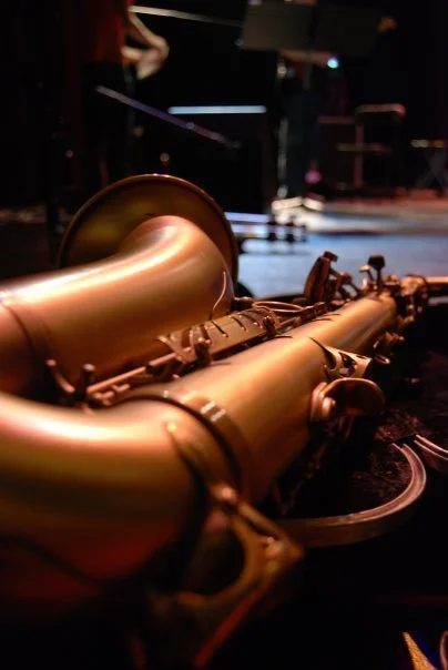 Sax on Case view.jpg