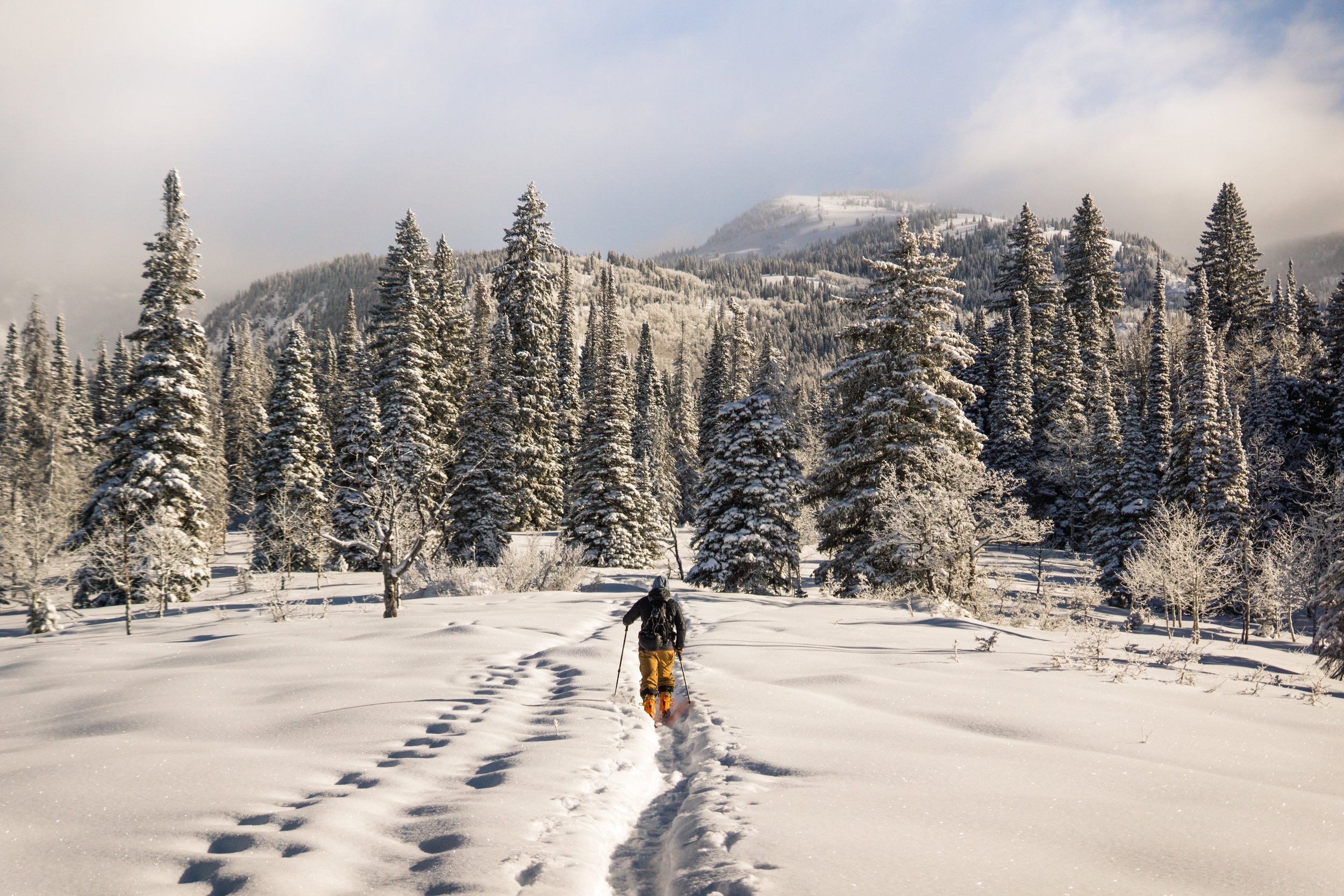 8 Ways To Fight Seasonal Affective Disorder (So You Can Skip The Winter Blues &amp; Feel Good)