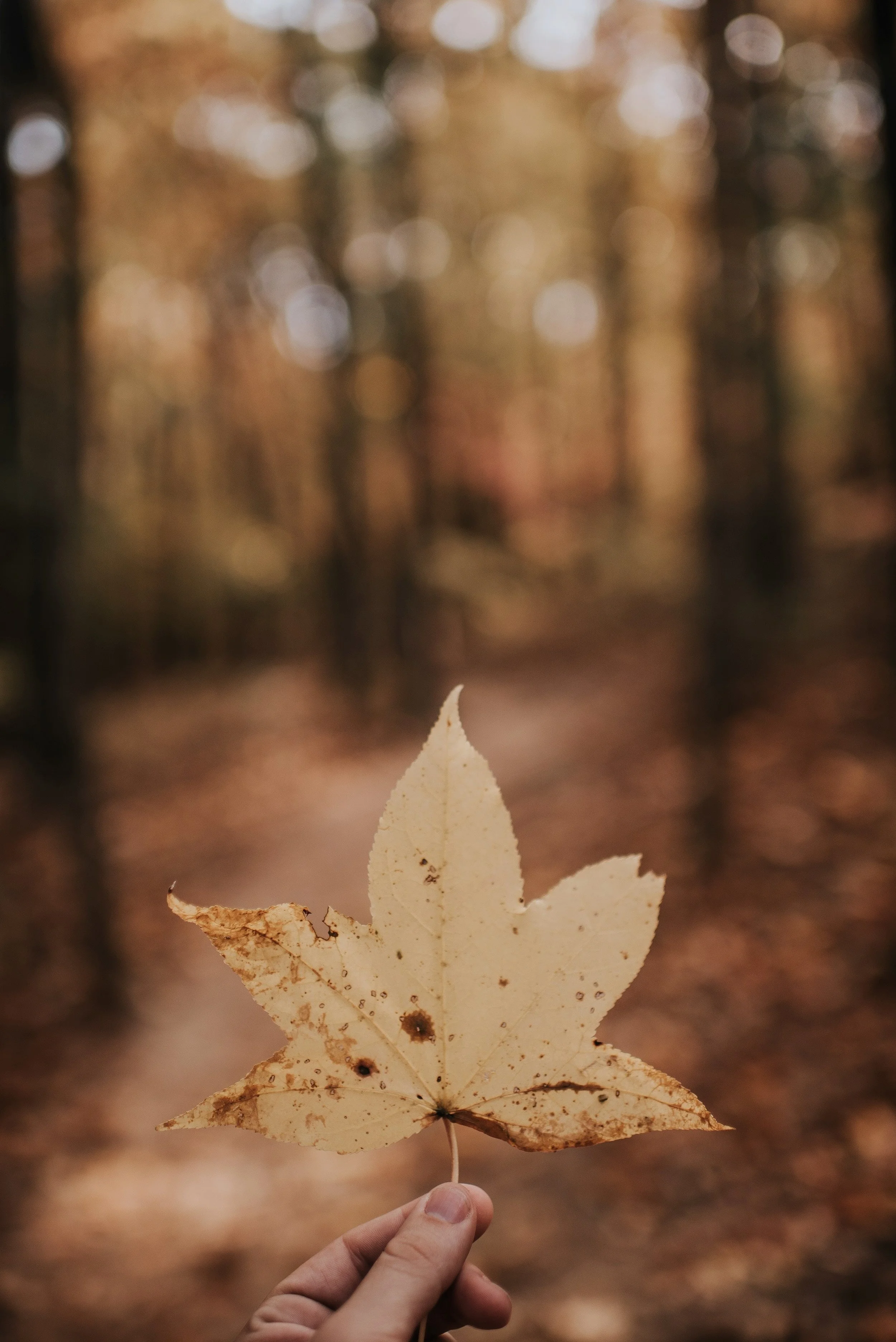 15 Healthy Ways To Process Grief (When Someone You Love Is Suddenly Gone)