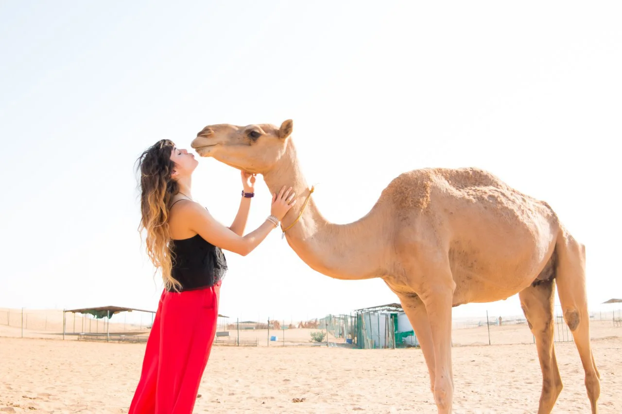 Keep up with your practice, workouts, and meals while traveling