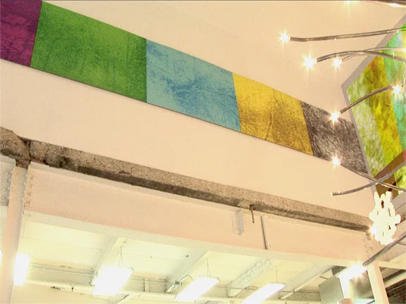 Dual Nature, 2008 Video Projection/Dye Sub. Print Installation Commission