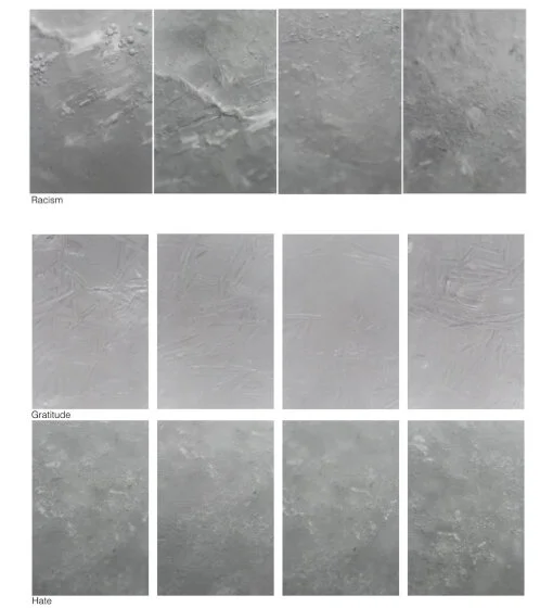 The Language of Water Fuchs.jpg