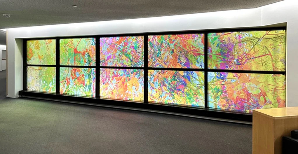 6 Sunlight Cadence  Valerie Sullivan Fuchs.jpg