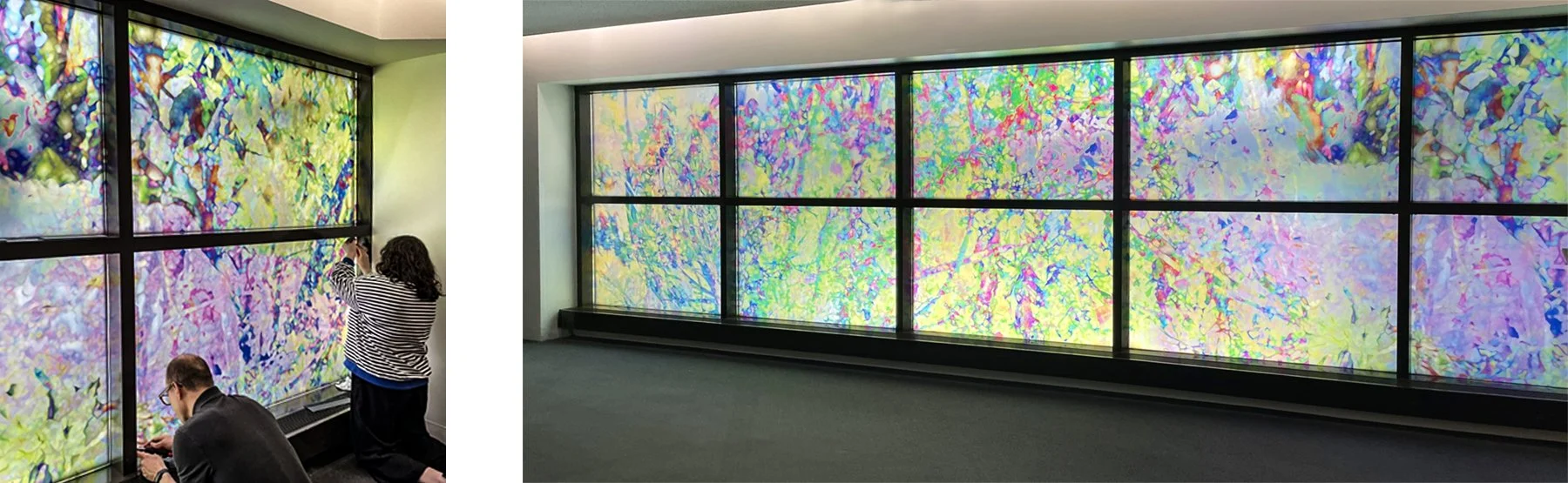 AAAA5 13 ASunlight Cadence VSFUCHSoverall copy 4.jpg