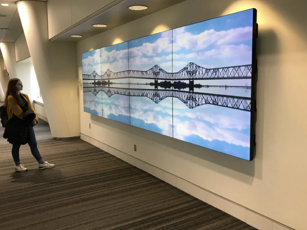 Wheelhouse Art CSS VSFUCHS.035.jpeg