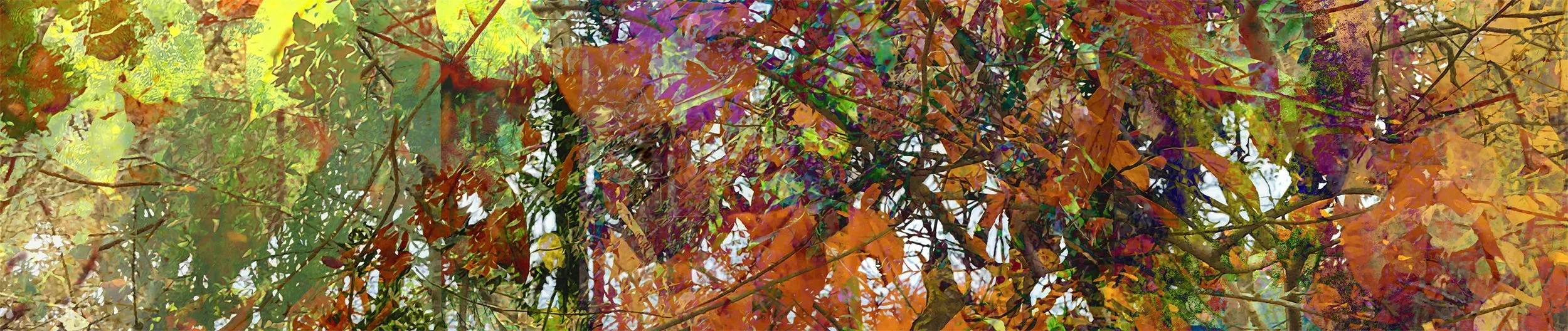 small1A 1entangled Fuchs 8 x 21 metal image copy.jpg