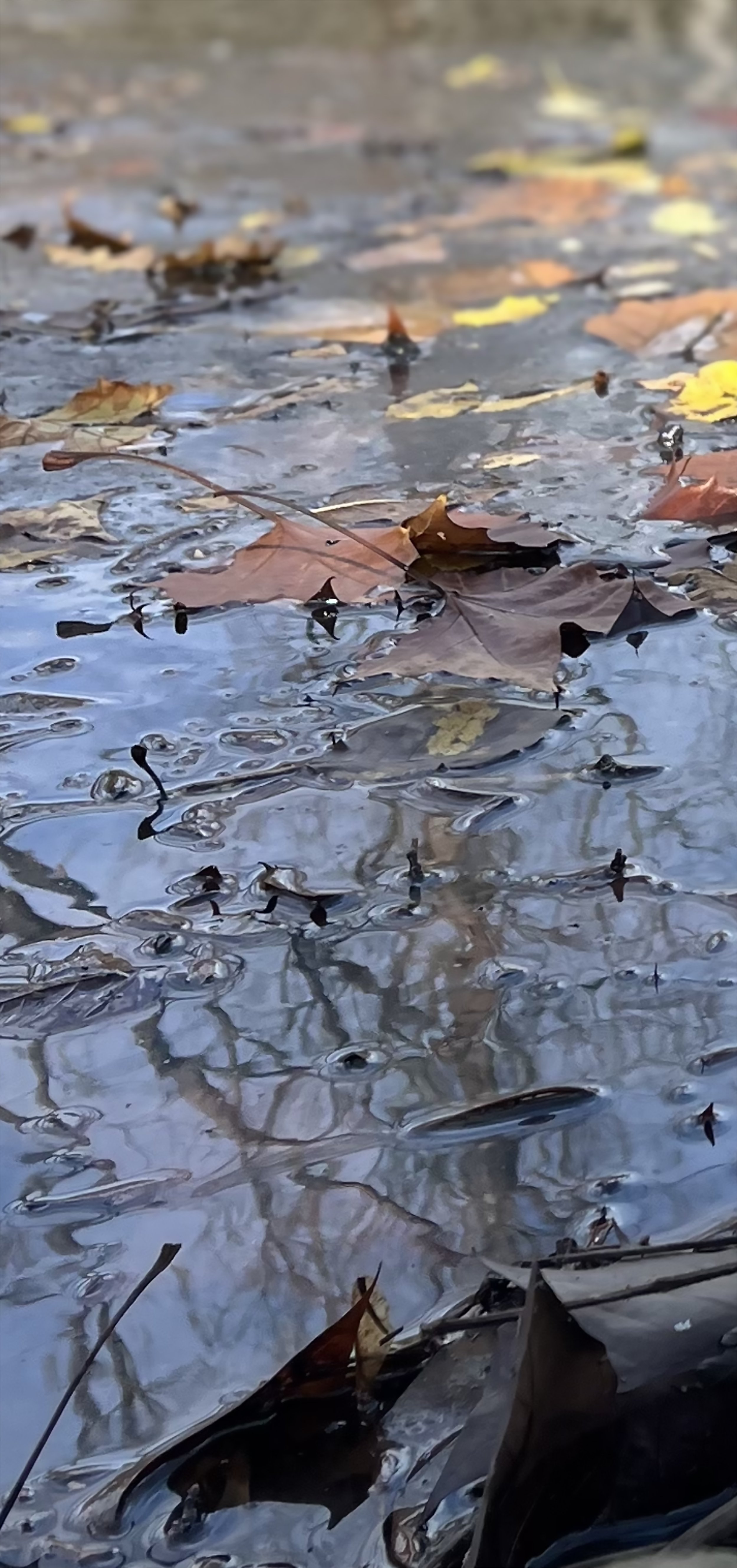 1sm0 MG_2392 copy 2.jpg