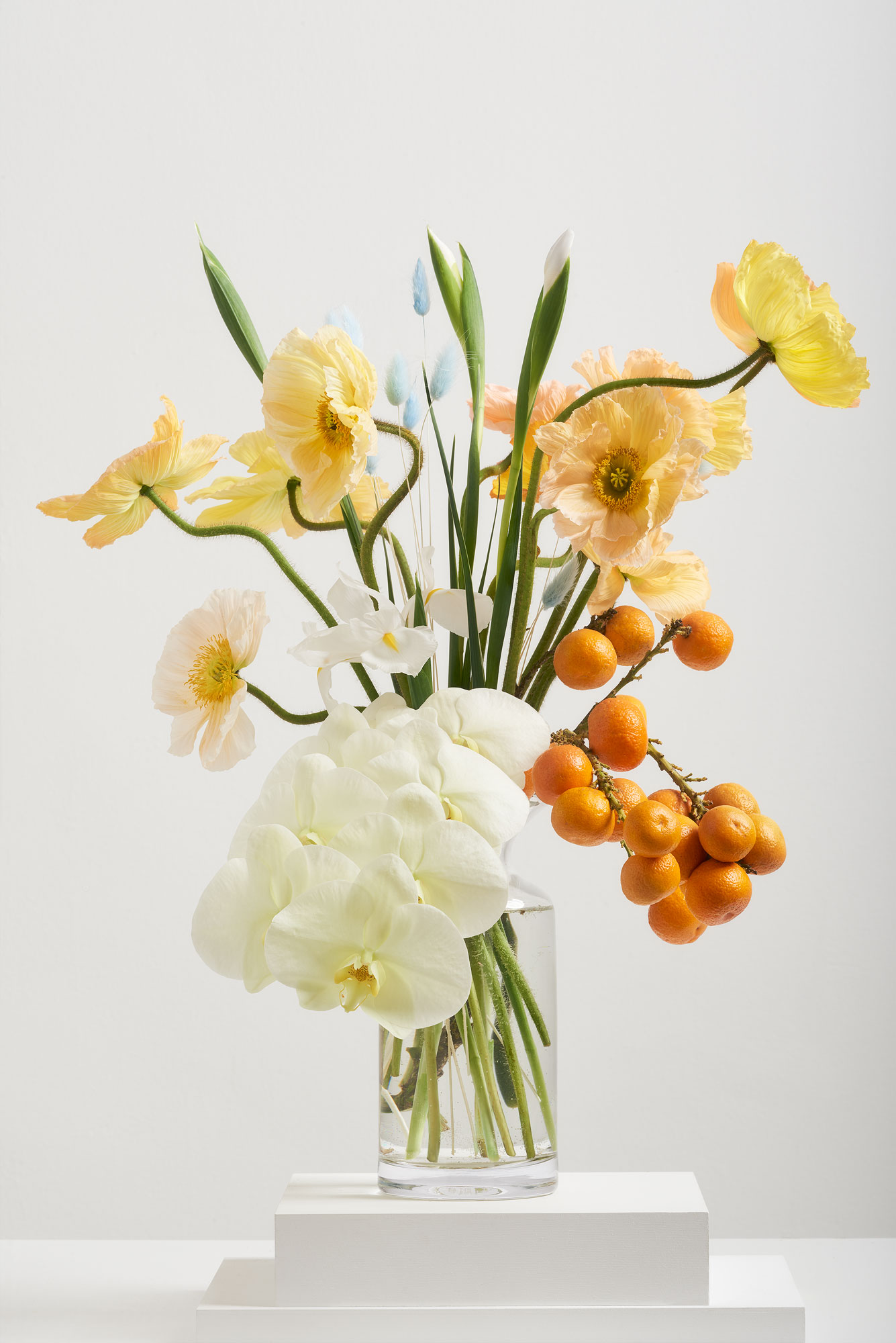 IRIS-+-VIRGIL-5-WEB.jpg
