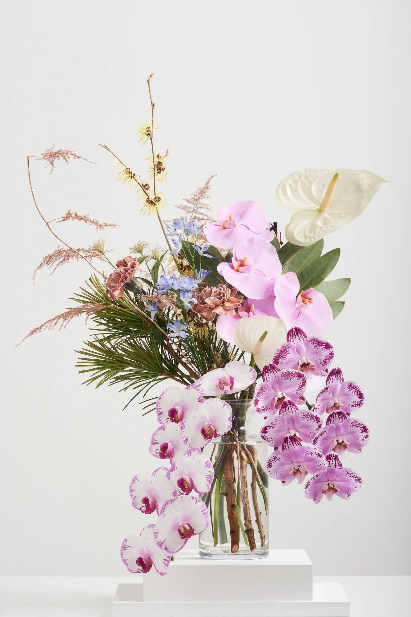 IRIS-+-VIRGIL-4-WEB.jpg