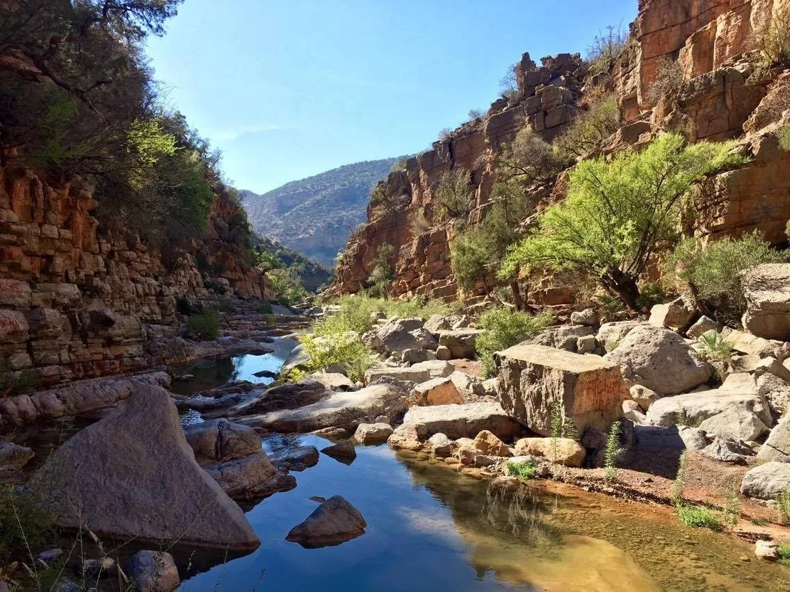 Paradise Valley