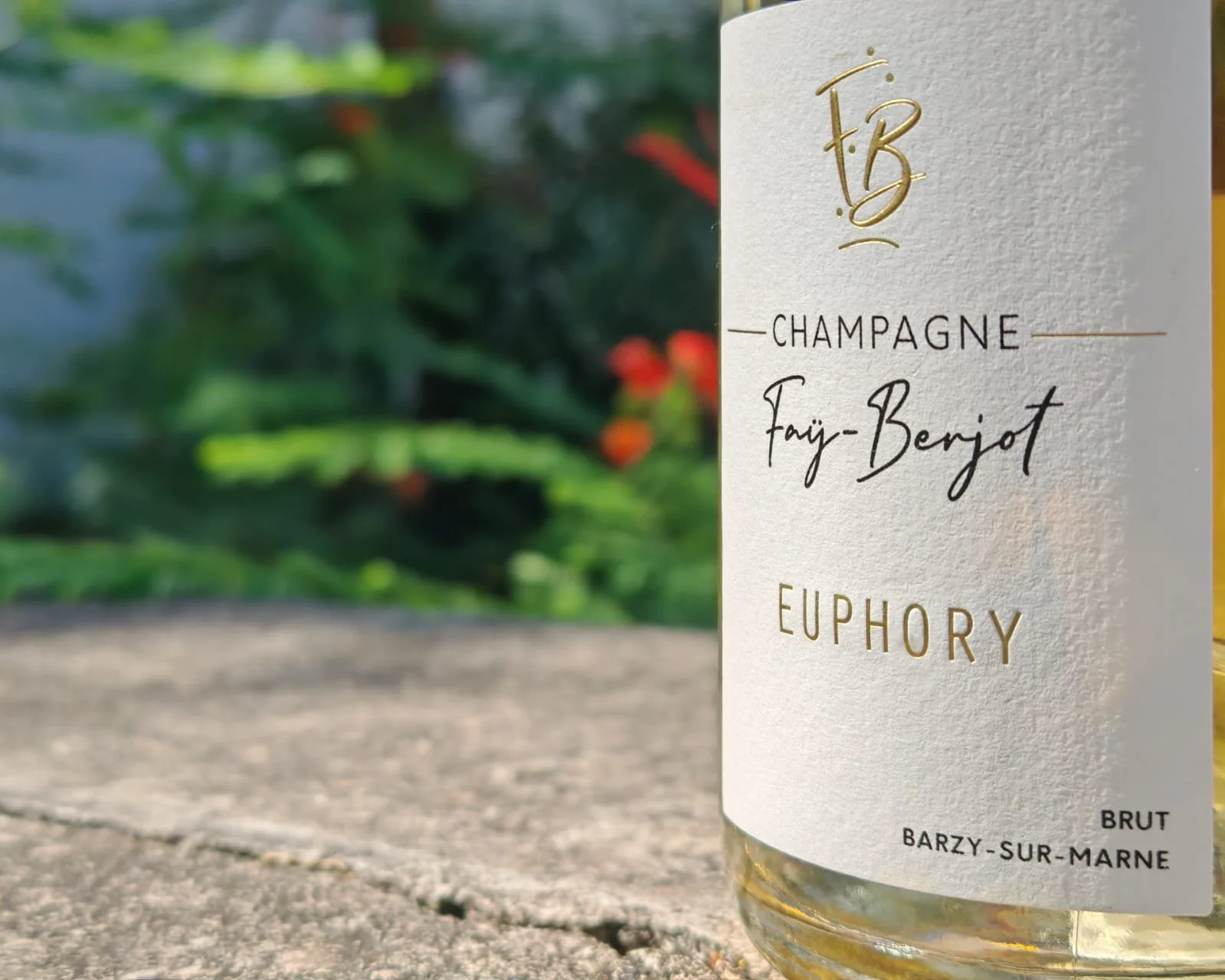 Champagne Fay Berjot - Cuvee Euphory NV