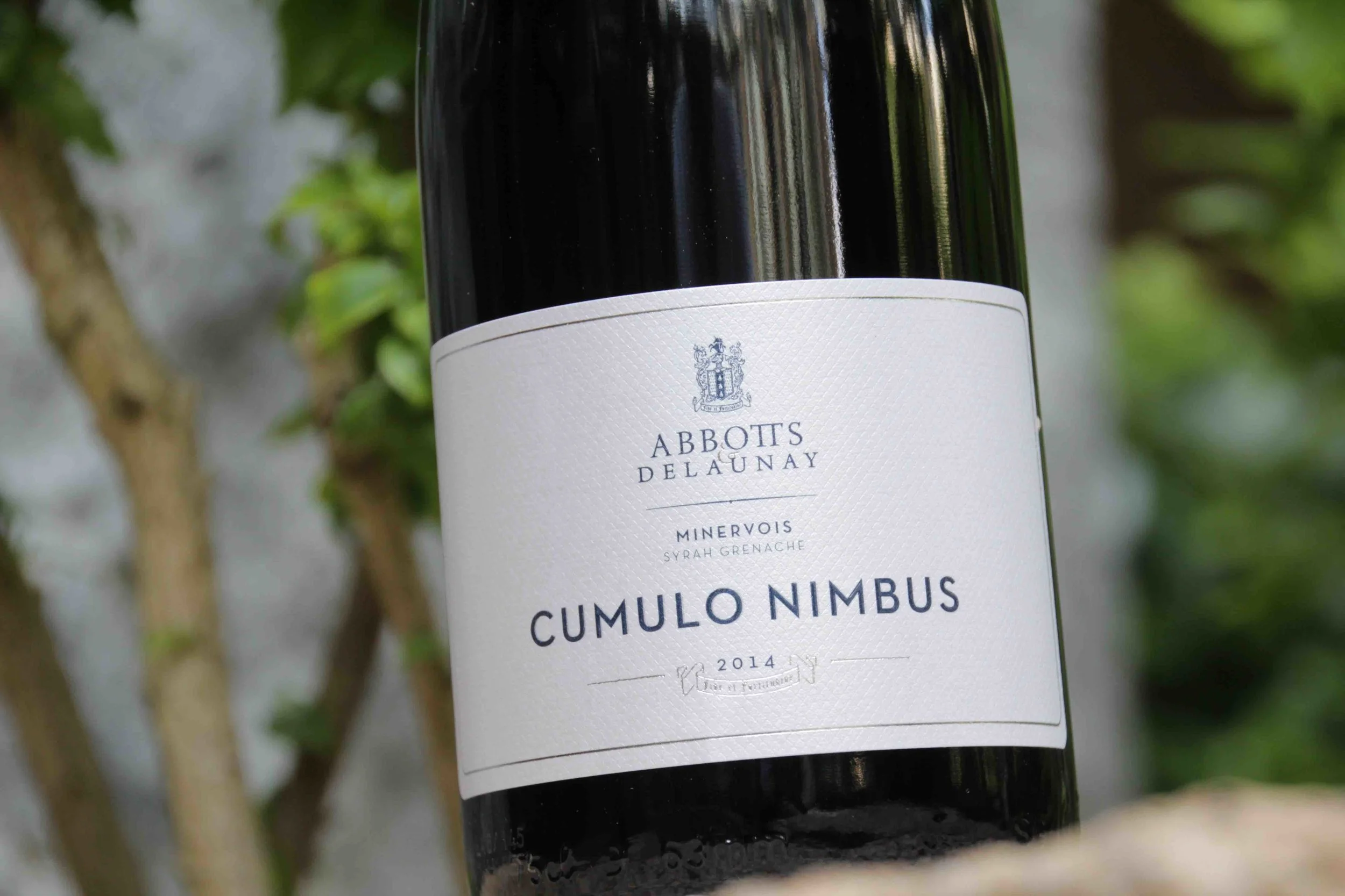 abbotts & delaunay cumulo numbus 2014 b.jpeg