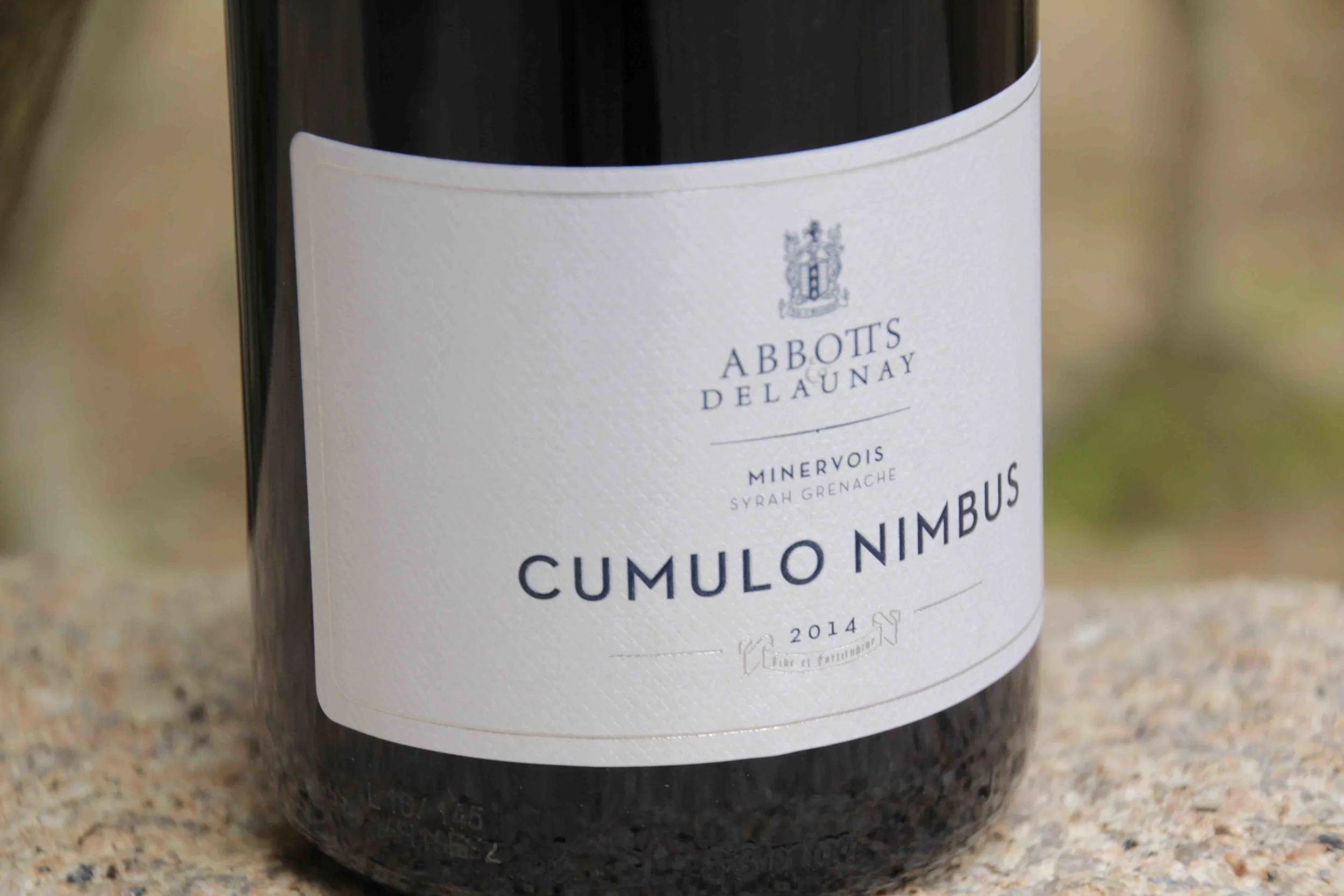 abbotts & delaunay cumulo nimbus 2014 d.jpeg