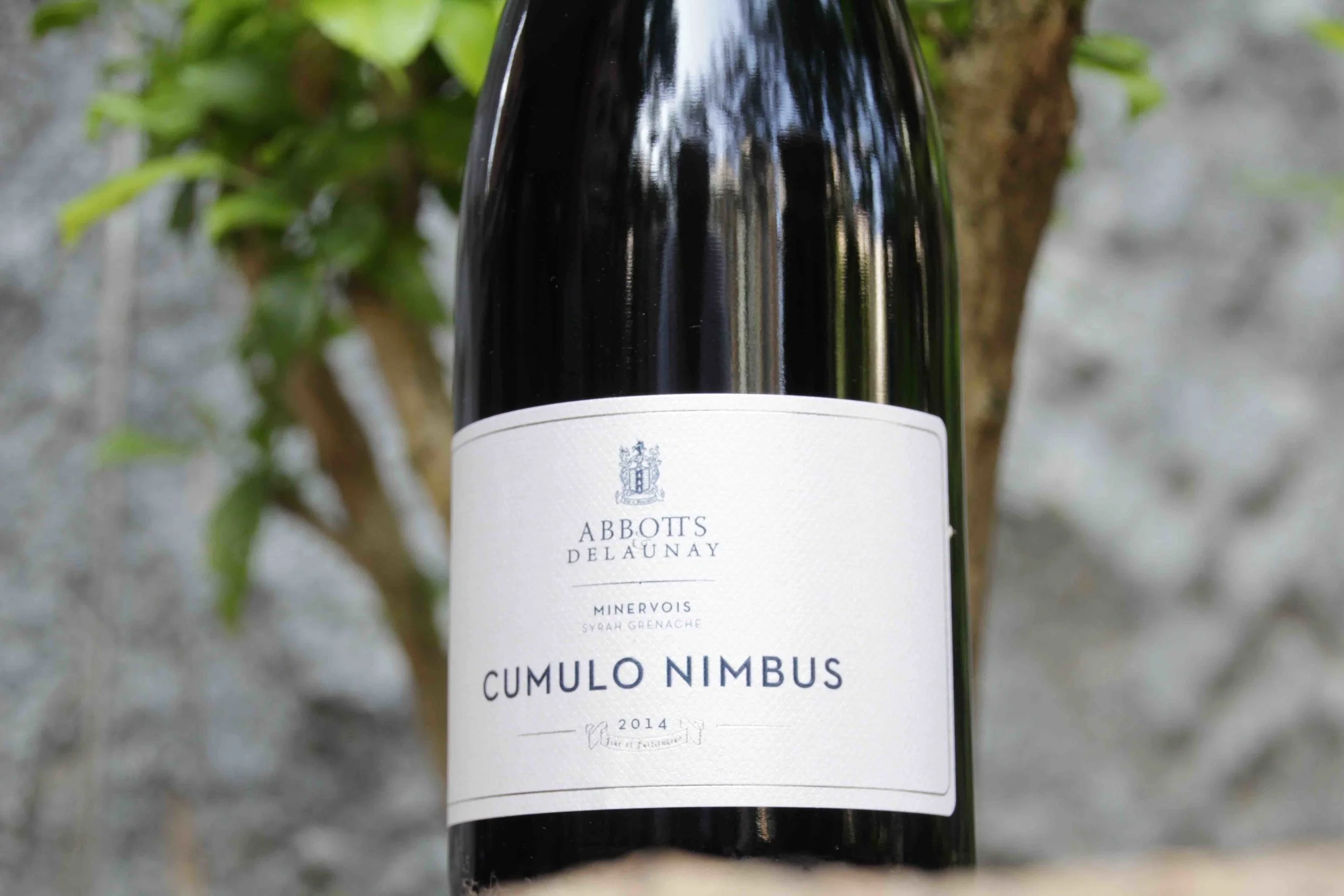 abbotts & delaunay cumulo nimbus 2014 e.jpeg