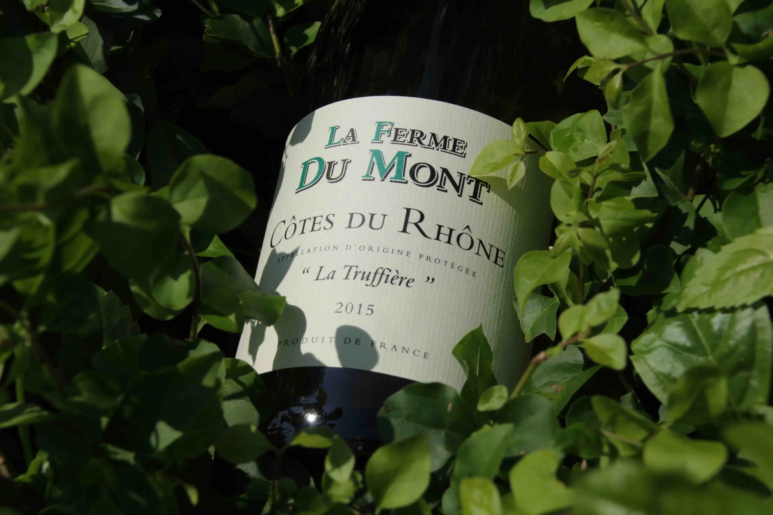 lafermedumont la truffiere blanc 2015 c.jpeg