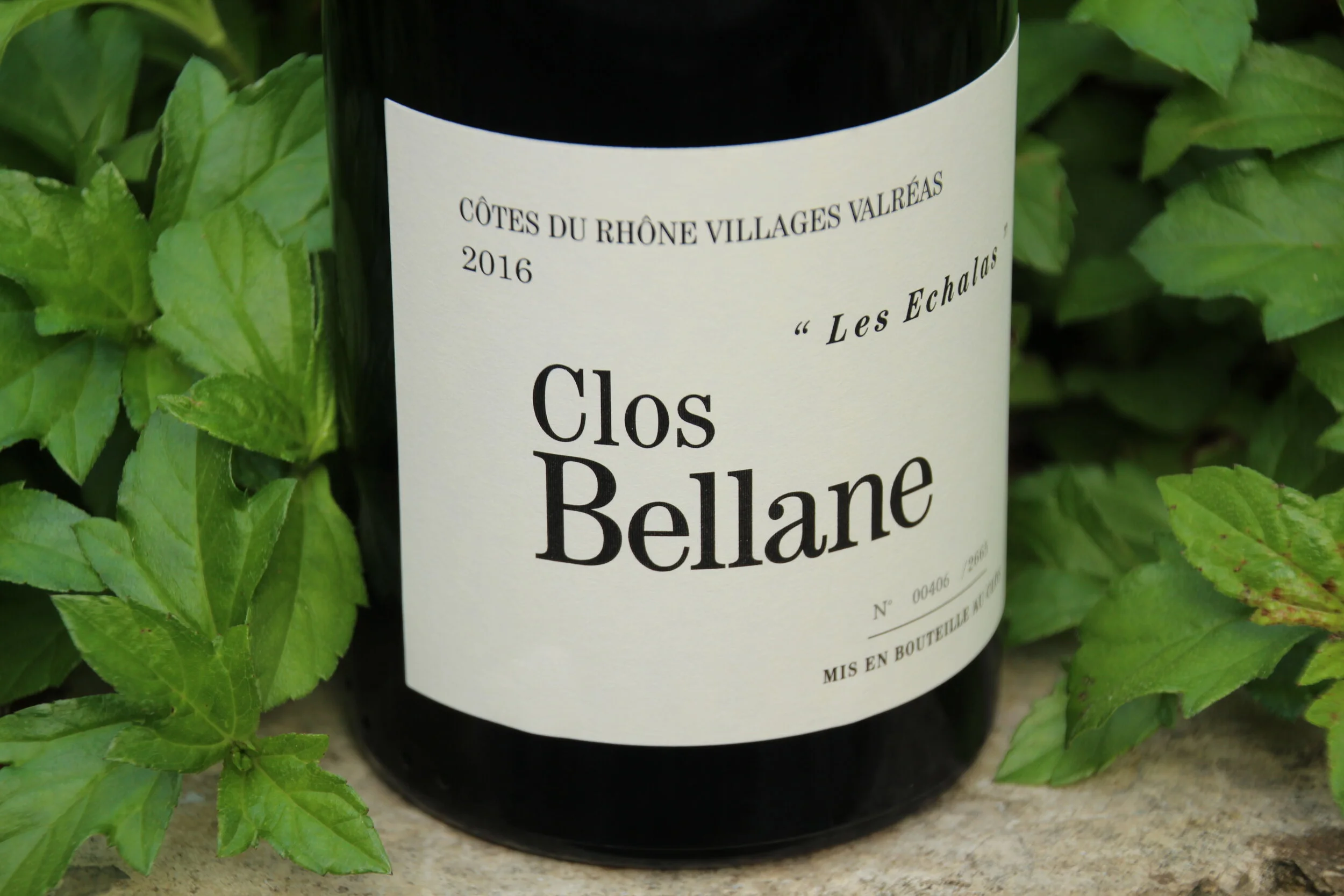 cb le 2016 rouge 8.JPG