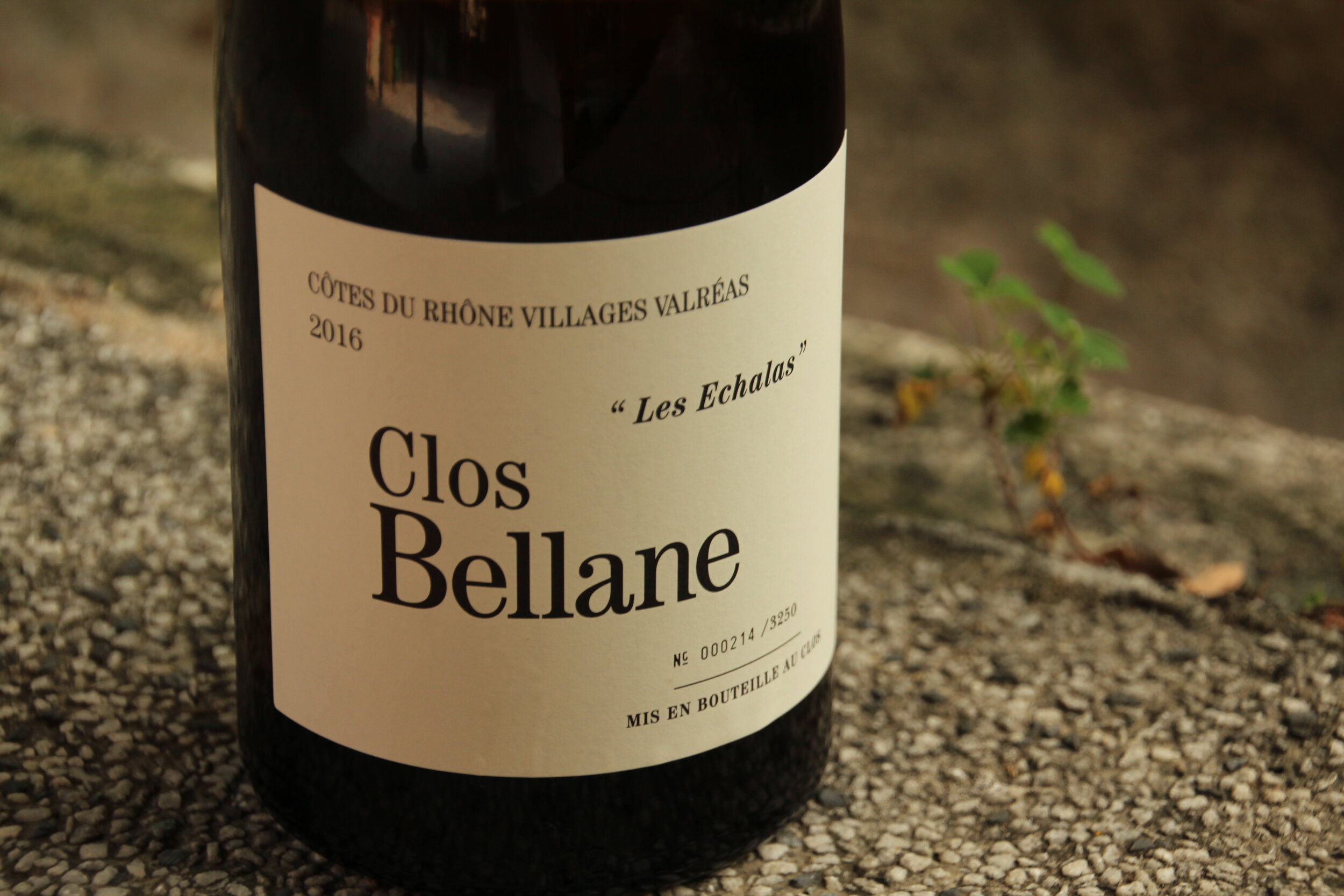 cb le blanc 9.JPG