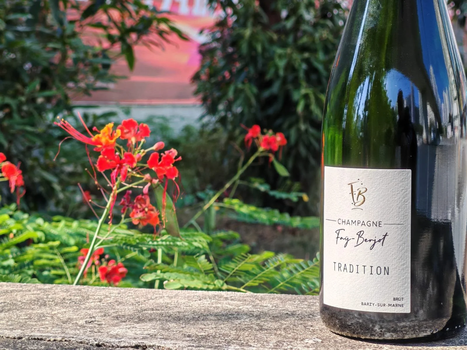 Champagne Fay Berjot - Tradition Brut NV