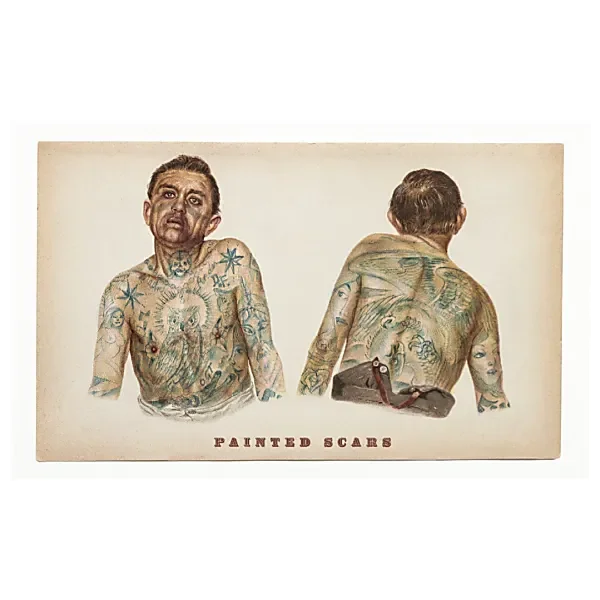 Department 66 - Painted Scars 2021 IGP des Cotes Catalanes, Roussillon, Rouge