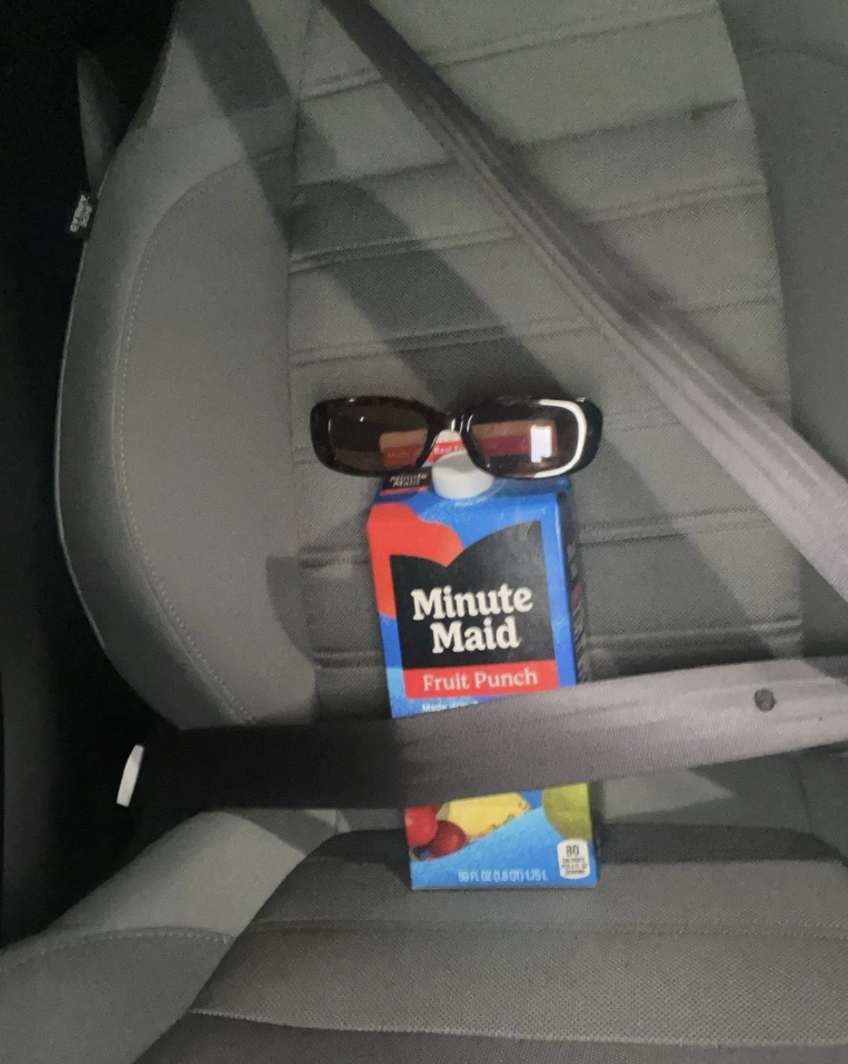 Passenger Princess.png