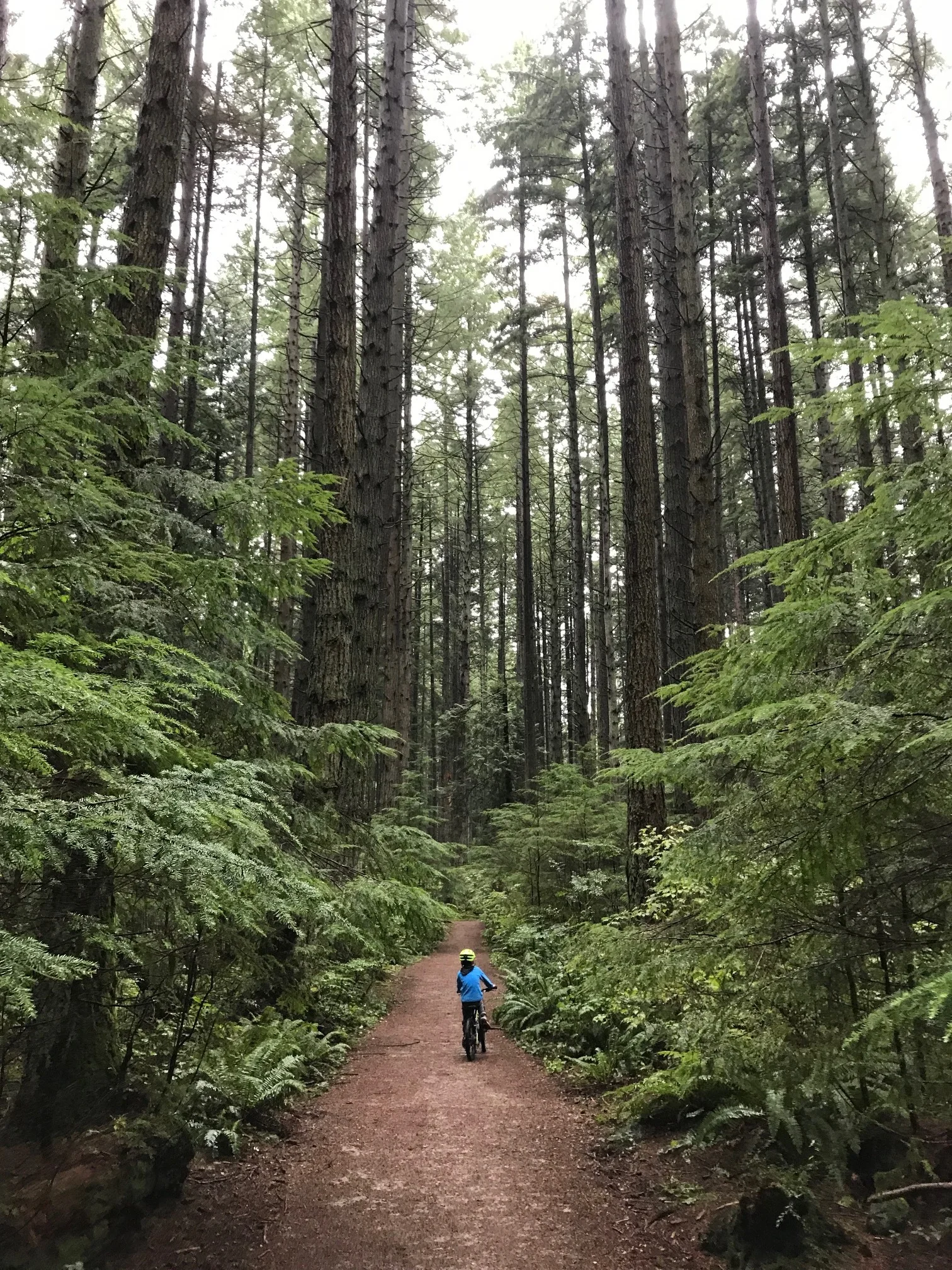 Cycling through Pacific Spirit Park at UBC, Fall 2018